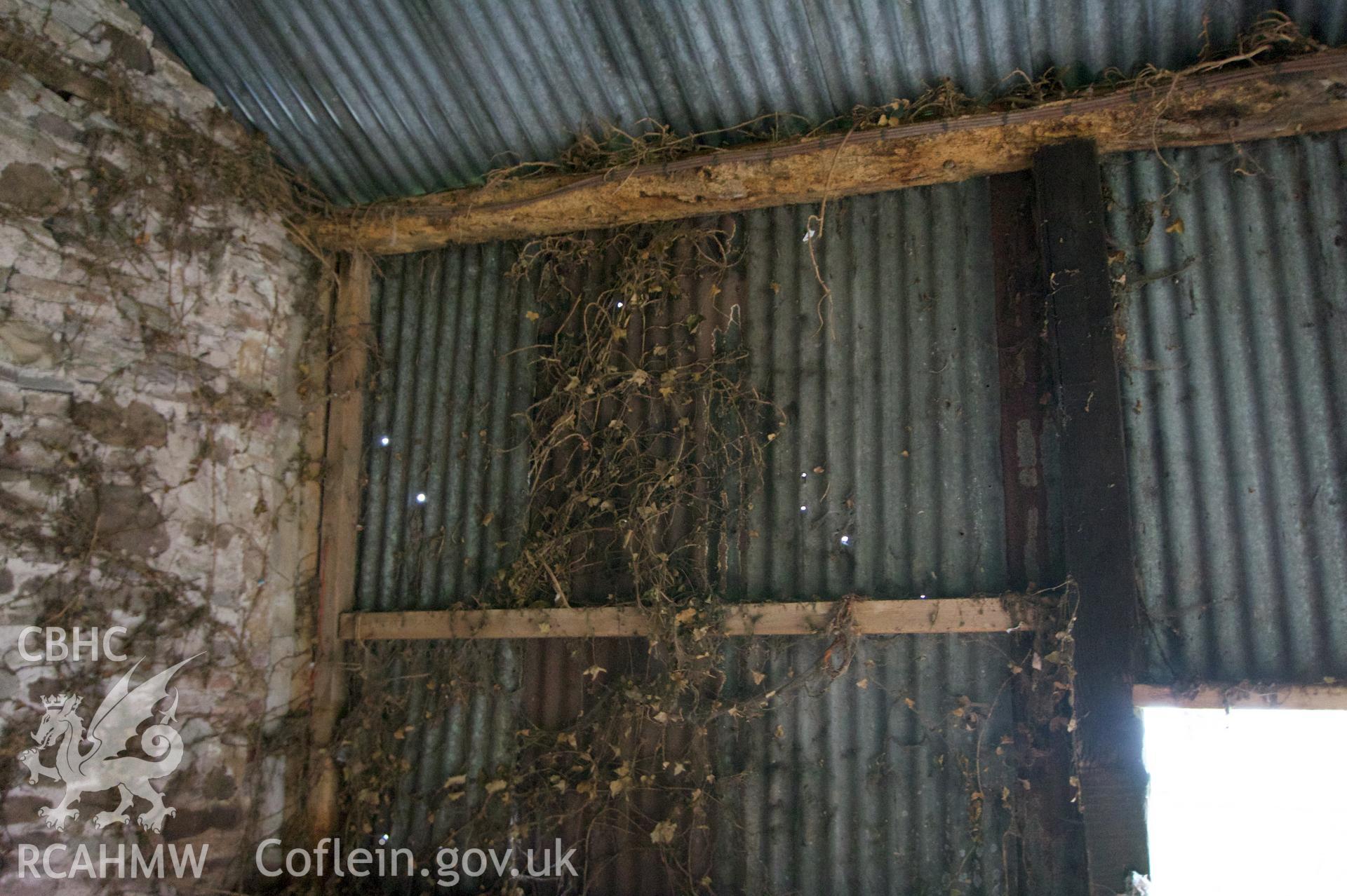 Inside of north wall, west bay, at Middle Ton Threshing Barn. Photographed for Historic Building Photographic Record of Middle Ton Threshing Barn, Llanvapley, by Dan Courtney of Cog Architects, 2019.