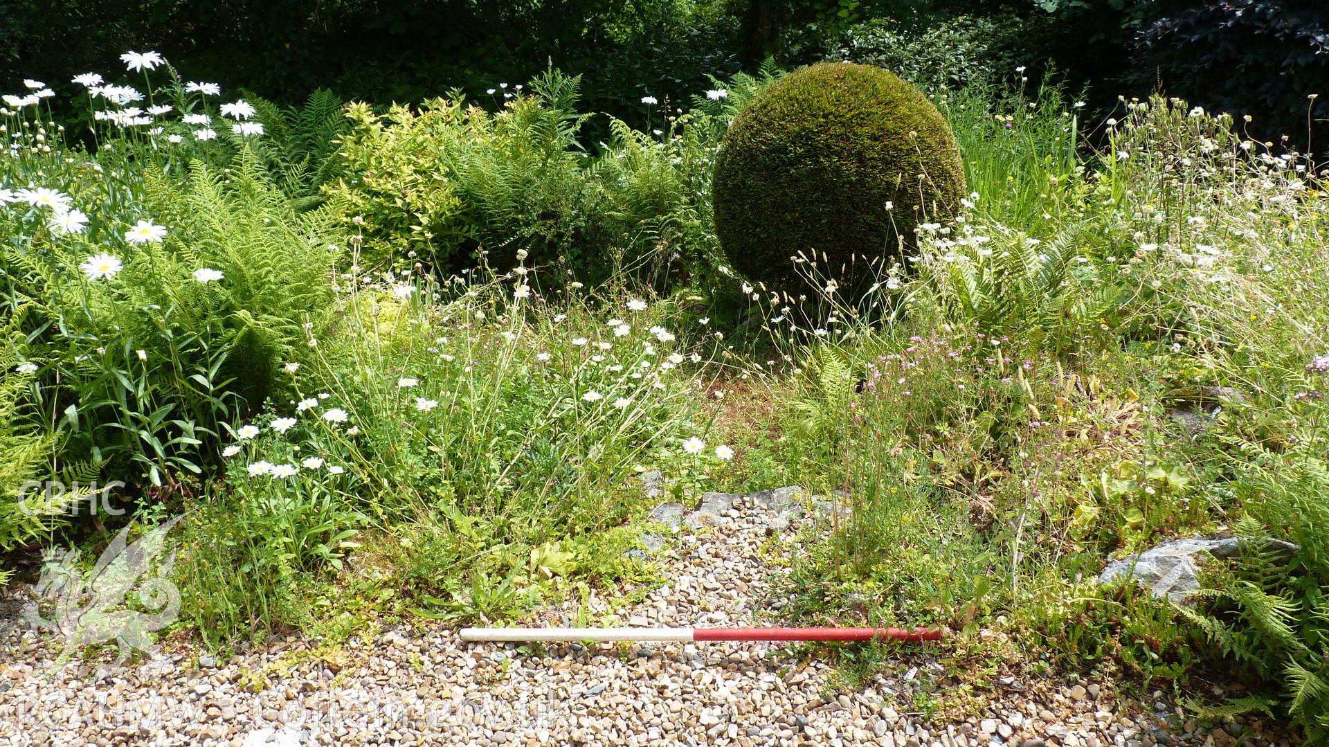View south showing one of the small garden paths south of Mount Severn. Photographed as part of Heritage Impact Assessment of Mount Severn, Glan-y-Nant, Llanidloes, Powys. Conducted by Archaeology Wales, 2018. Report no. 1696. Project no. 2620.