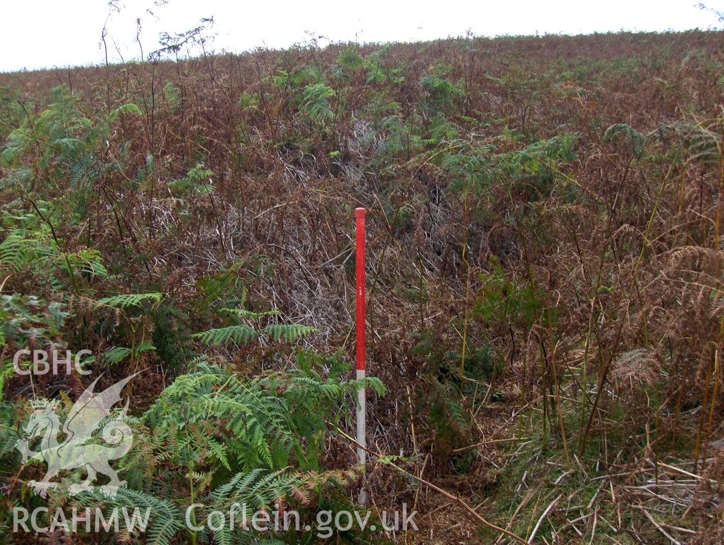 Digital colour photograph of Partrishow Hill bank (earthwork) III taken on 12/09/2007 by N.A.R. Vaughan during the Black Mountain Central South Upland Survey undertaken by Archaeophysica.
