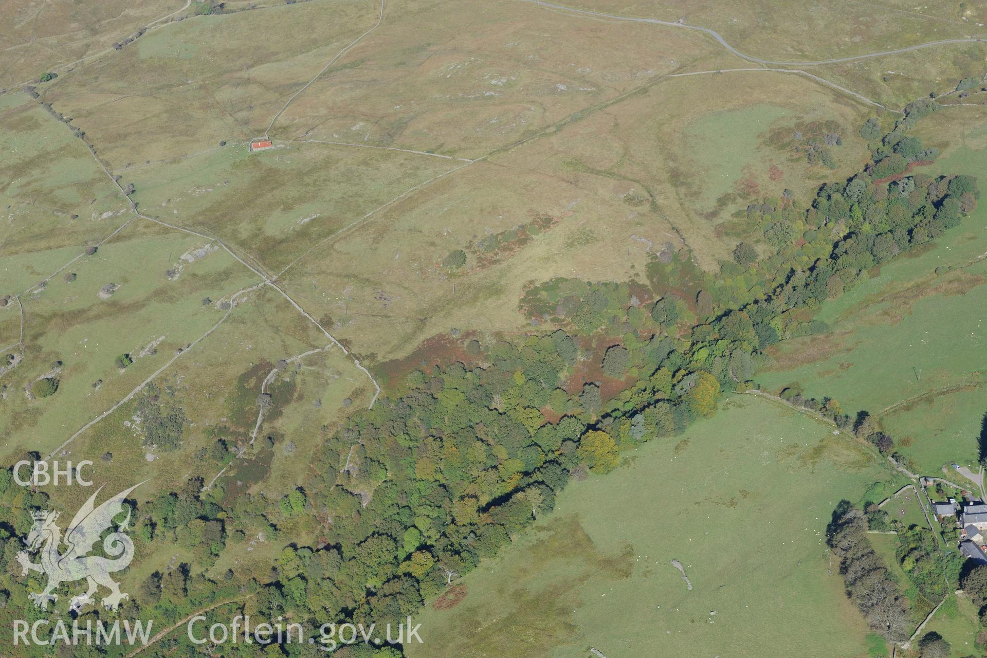 Fields west of Pantglas farm, near Trawsfynydd. Oblique aerial photograph taken during the Royal Commission's programme of archaeological aerial reconnaissance by Toby Driver on 2nd October 2015.