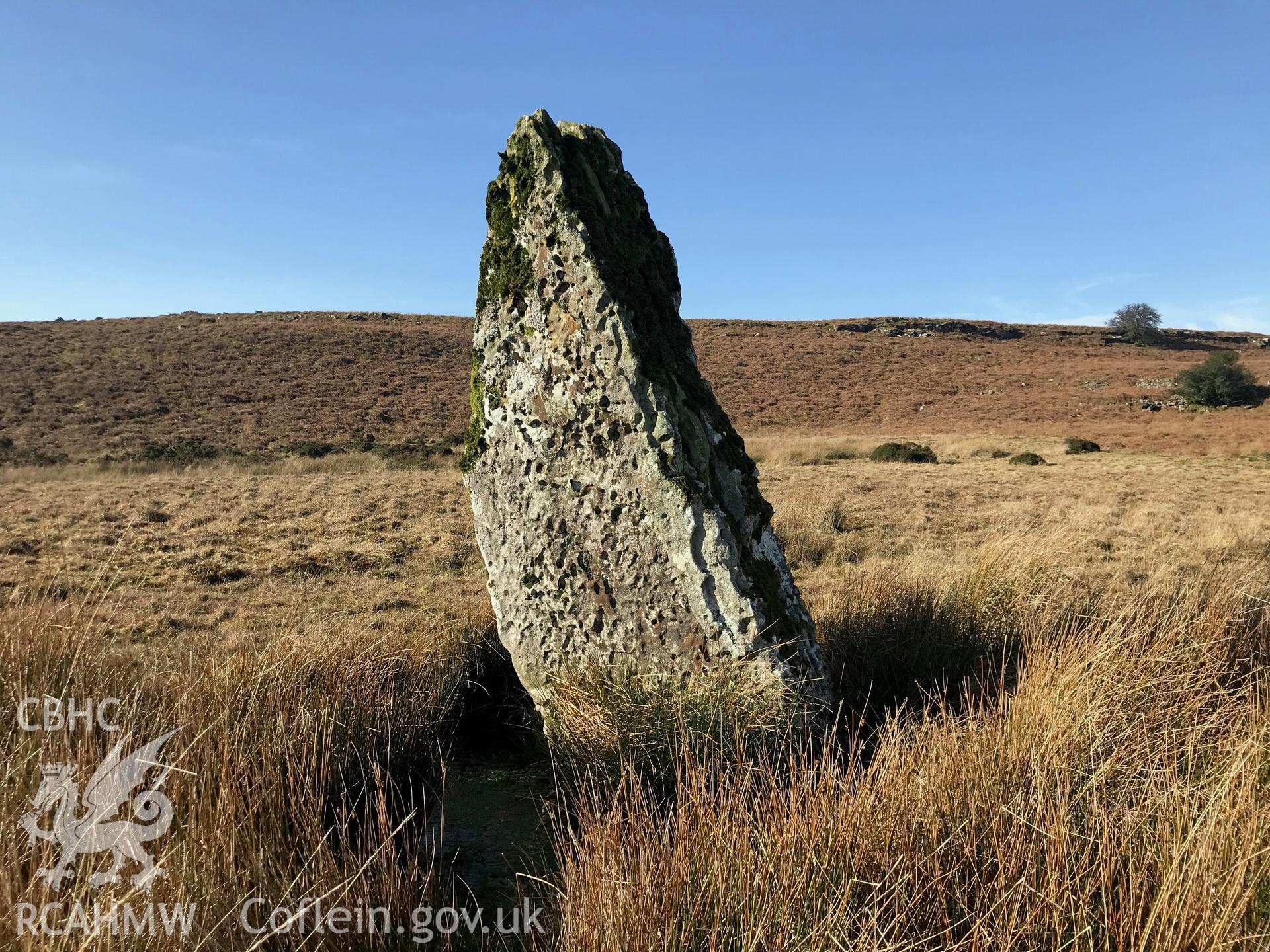 Colour photograph of Carreg Waun Llech standing stone, Llangynidr, west of Crickhowell, taken by Paul R. Davis on 24th February 2019.