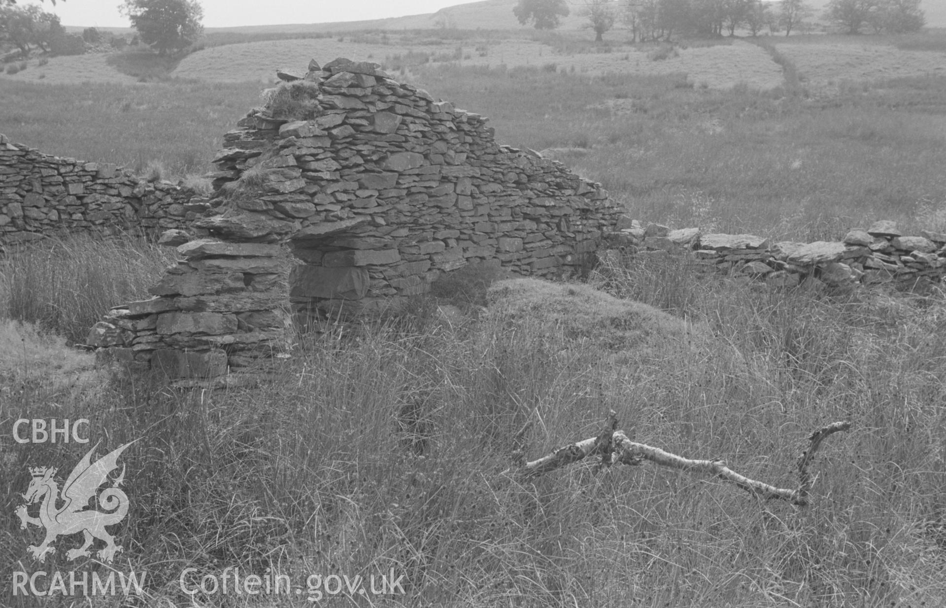 Digital copy of a black and white negative showing small ruin between Caradog and Pen-Cwm; note mound adjacent to wall in centre of picture to which there seems to have been an entrance formerly from within the house. Part of the Bryneithinog squatter settlement. Photographed by Arthur O. Chater in August 1967. (Looking south west from Grid Reference SN 7339 6335).