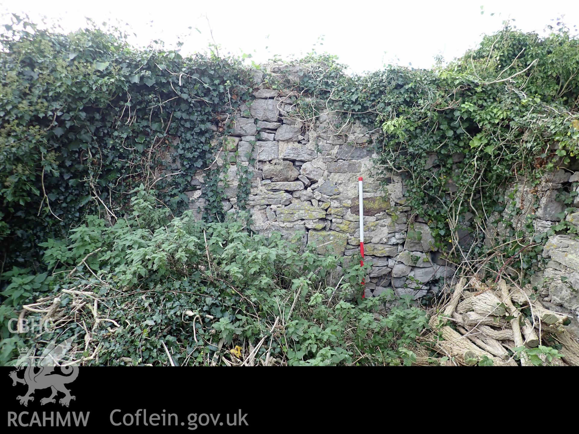 Investigator's photographic survey of the church on Puffin Island or Ynys Seiriol for the CHERISH Project. View of the ruinous cottage on the site of the transept to the south of the tower. ? Crown: CHERISH PROJECT 2018. Produced with EU funds through the Ireland Wales Co-operation Programme 2014-2020. All material made freely available through the Open Government Licence.