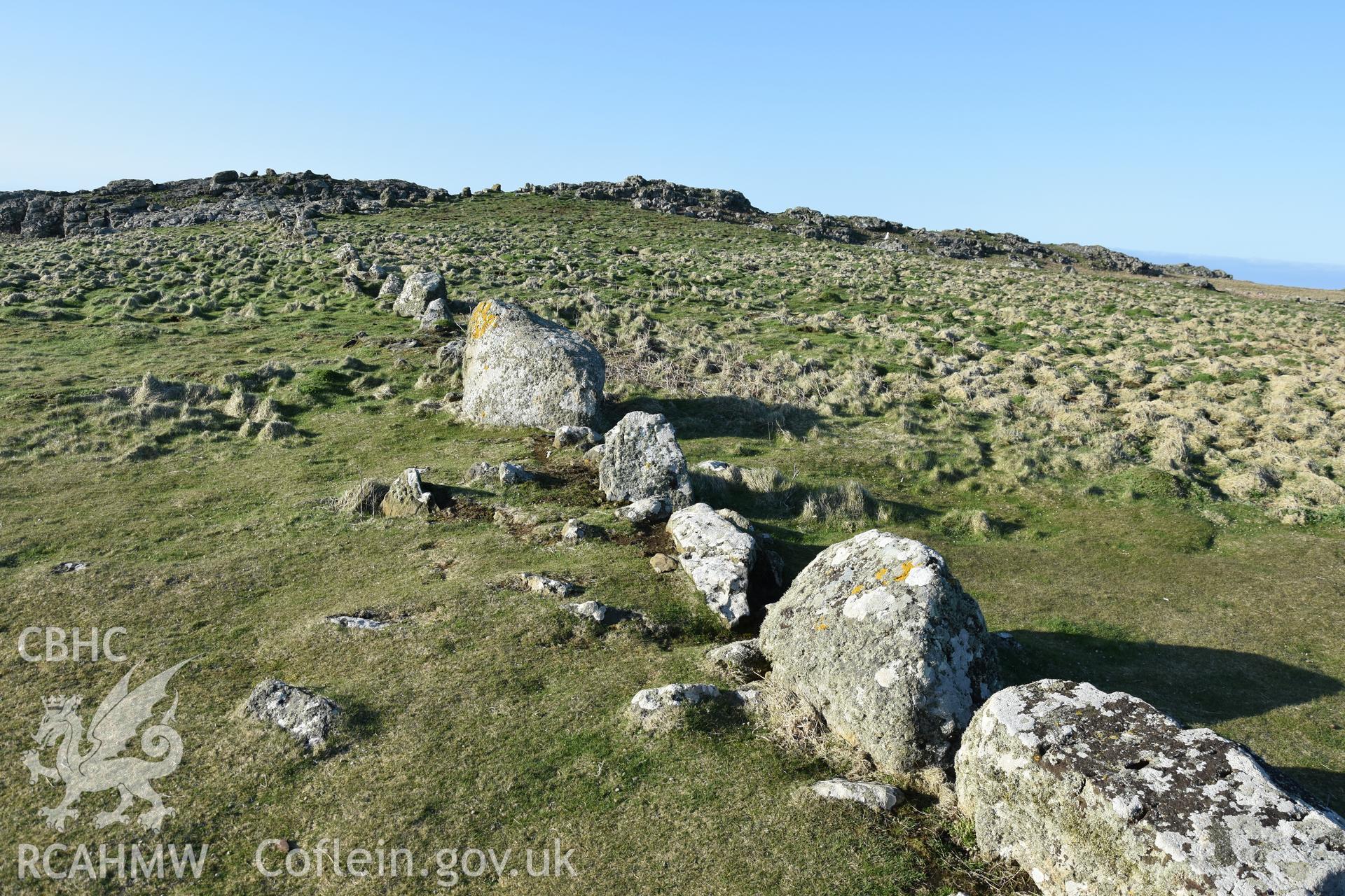 Investigator's photograph of possible stone row near Skomer Head, photographed from the south in April 2018.