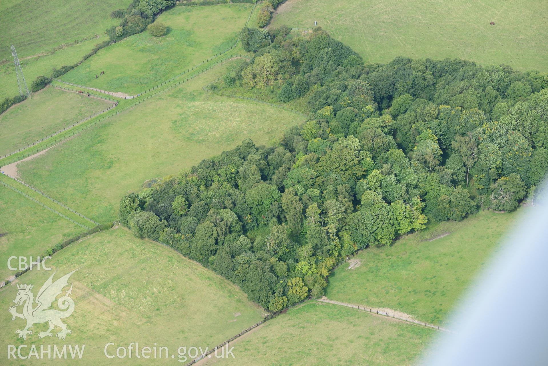 Hafod Wood moated site, Halkyn, near Holywell. Oblique aerial photograph taken during the Royal Commission's programme of archaeological aerial reconnaissance by Toby Driver on 11th September 2015.