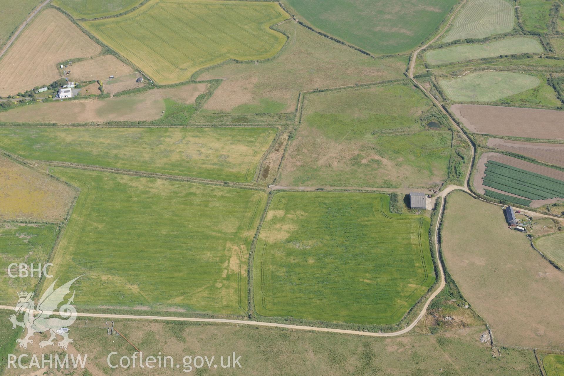 Parchmarks of possible township at Croes Phillip, St Davids. Oblique aerial photograph taken during the Royal Commission?s programme of archaeological aerial reconnaissance by Toby Driver on 16th July 2013.