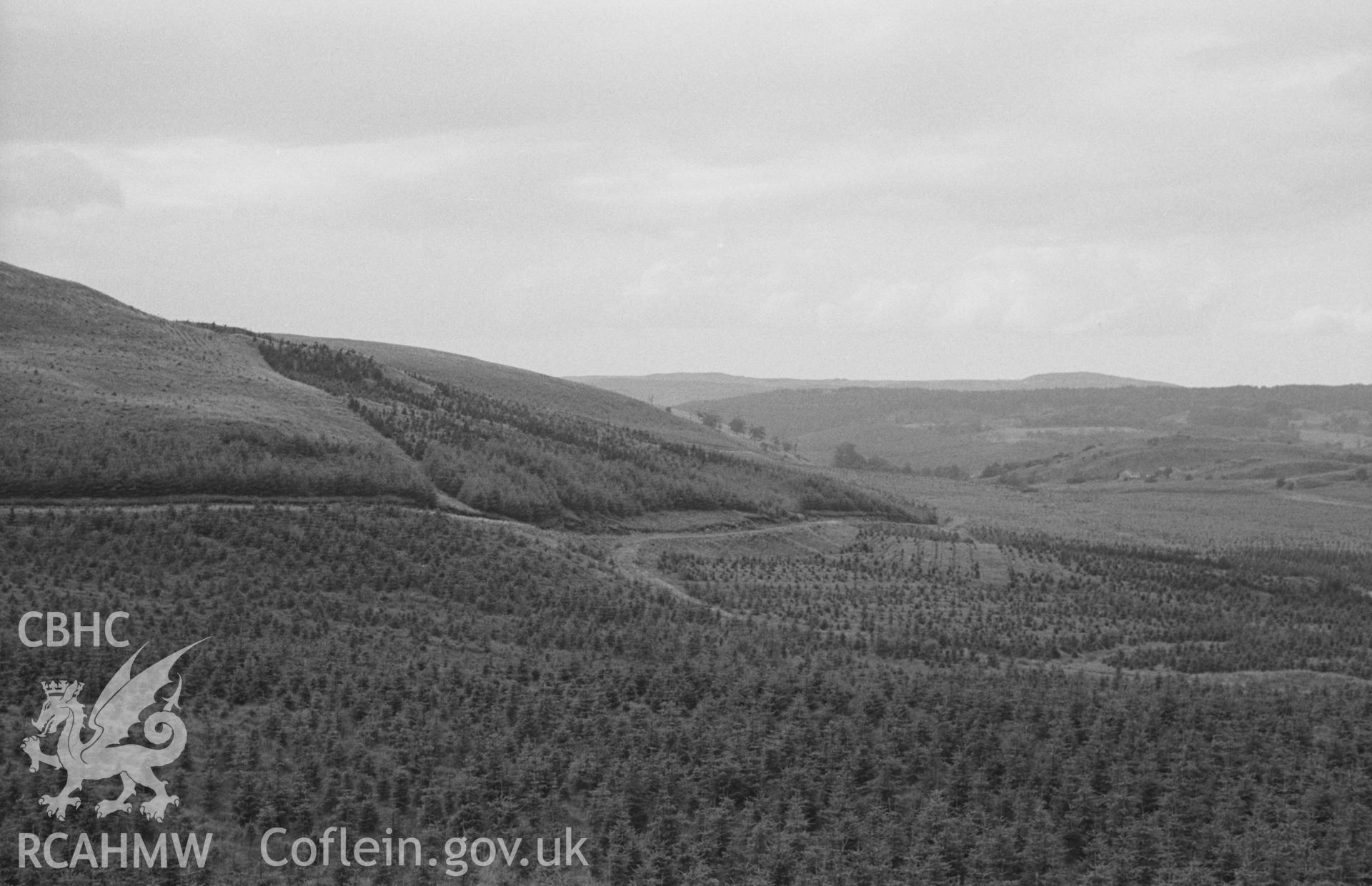 Digital copy of black & white negative showing Coed Bwlchgwallter; looking down Nant Bwlch Gwallter; Esgair Pwll-Dd?r on left, Bryn Mawr on right. Photographed in August 1963 by Arthur O. Chater from Grid Reference SN 773 718, looking south west - north.