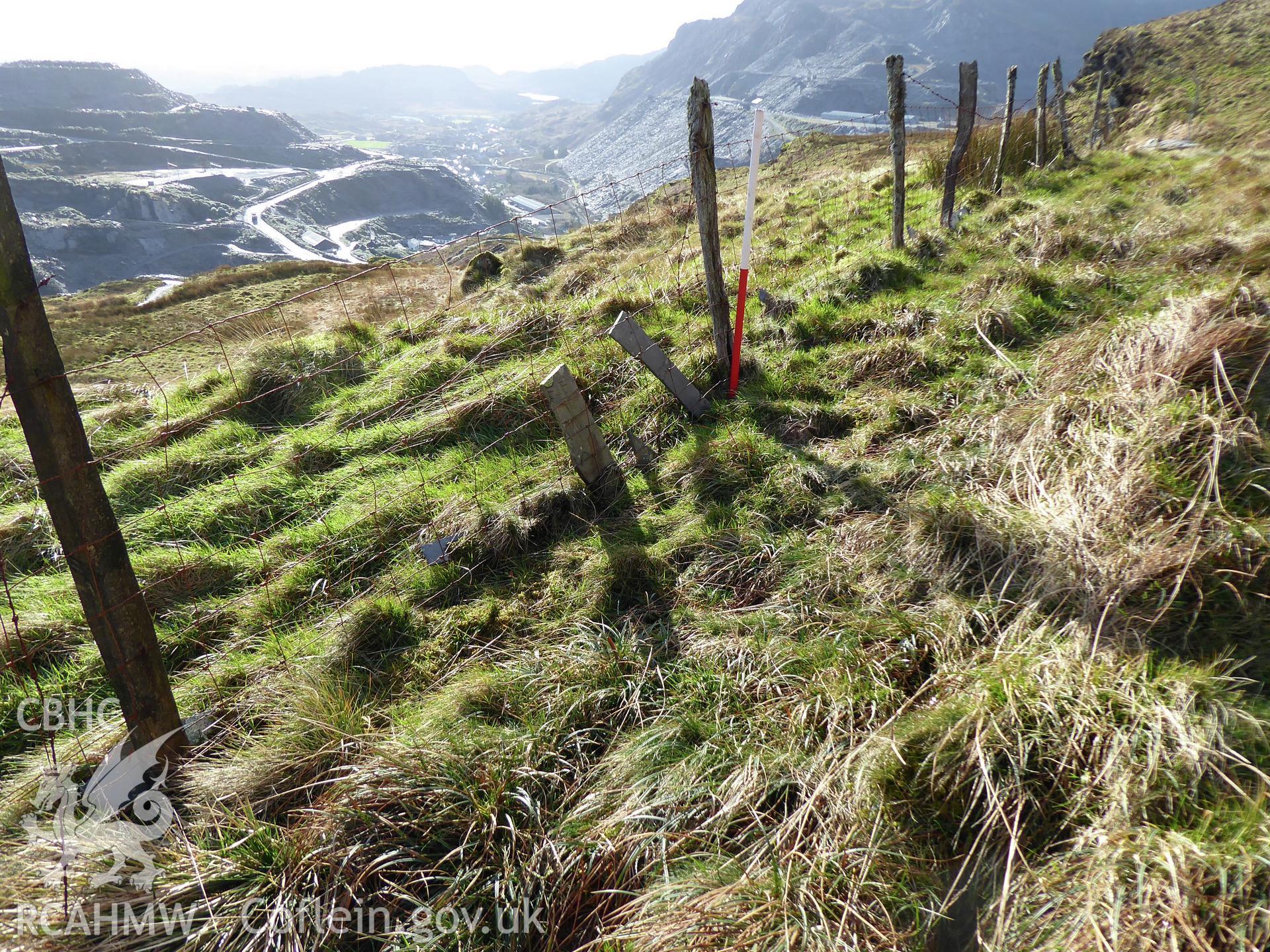 Cribau fence, photographed on 11th February 2019 as part of archaeological assessment of Antur Stiniog Downhill Cycle Tracks Extension, conducted by I. P. Brooks of Engineering Archaeological Services Ltd.