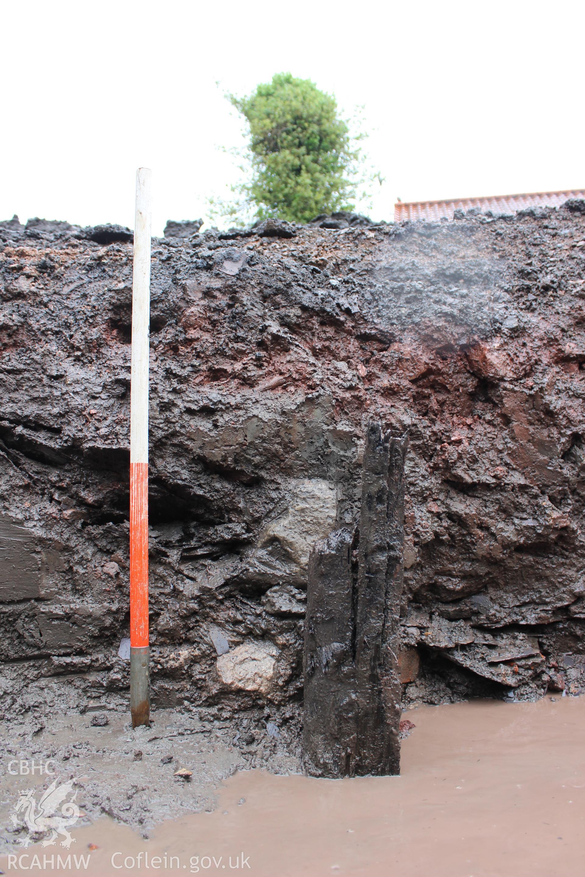 Detail shot of trench section and timber. Photographed as part of an Archaeological Evaluation of The Bridge Inn, Chepstow, carried out by Archaeology Wales, 2015.