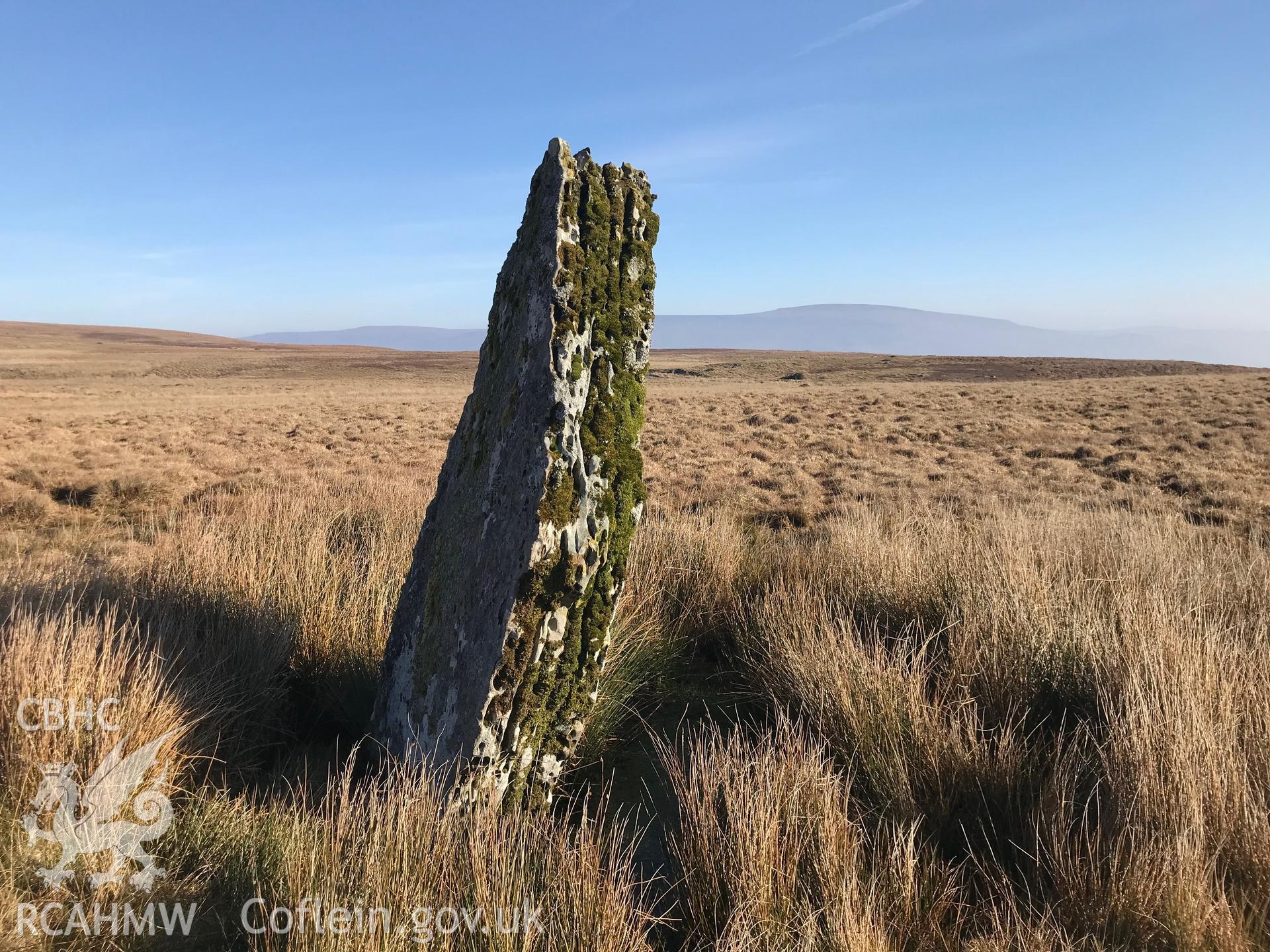 Colour photograph of Carreg Waun Llech standing stone, Llangynidr, west of Crickhowell, taken by Paul R. Davis on 24th February 2019.