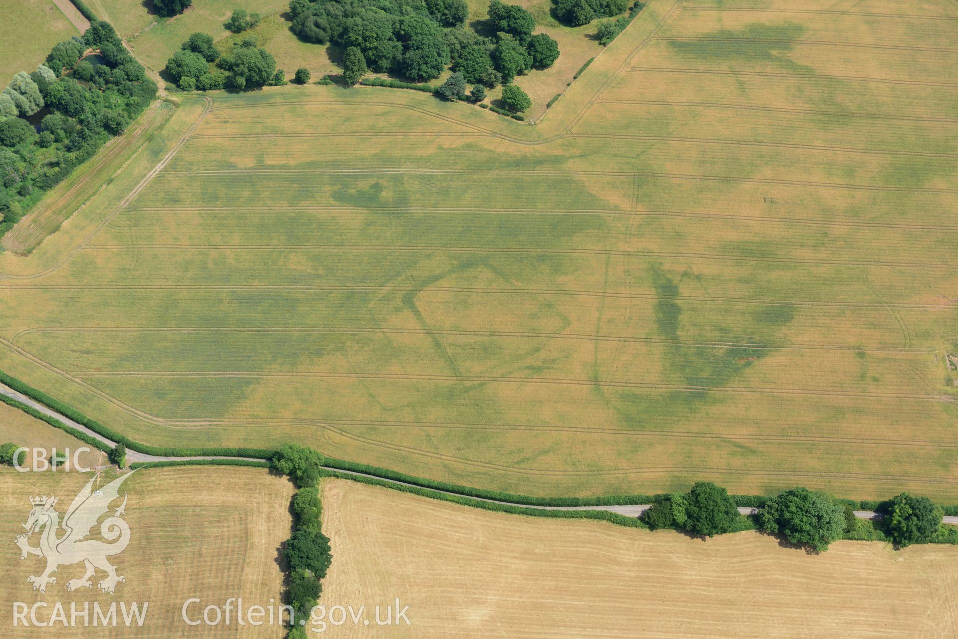 Royal Commission aerial photography of Wyndcliffe Court or Wet Wood cropmark complex taken on 19th July 2018 during the 2018 drought.