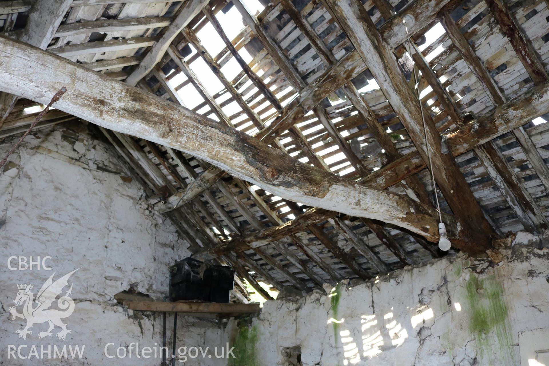 Photograph showing interior view of dairy roof, at Maes yr Hendre, taken by Dr Marian Gwyn, 6th July 2016. (Original Reference no. 0248)