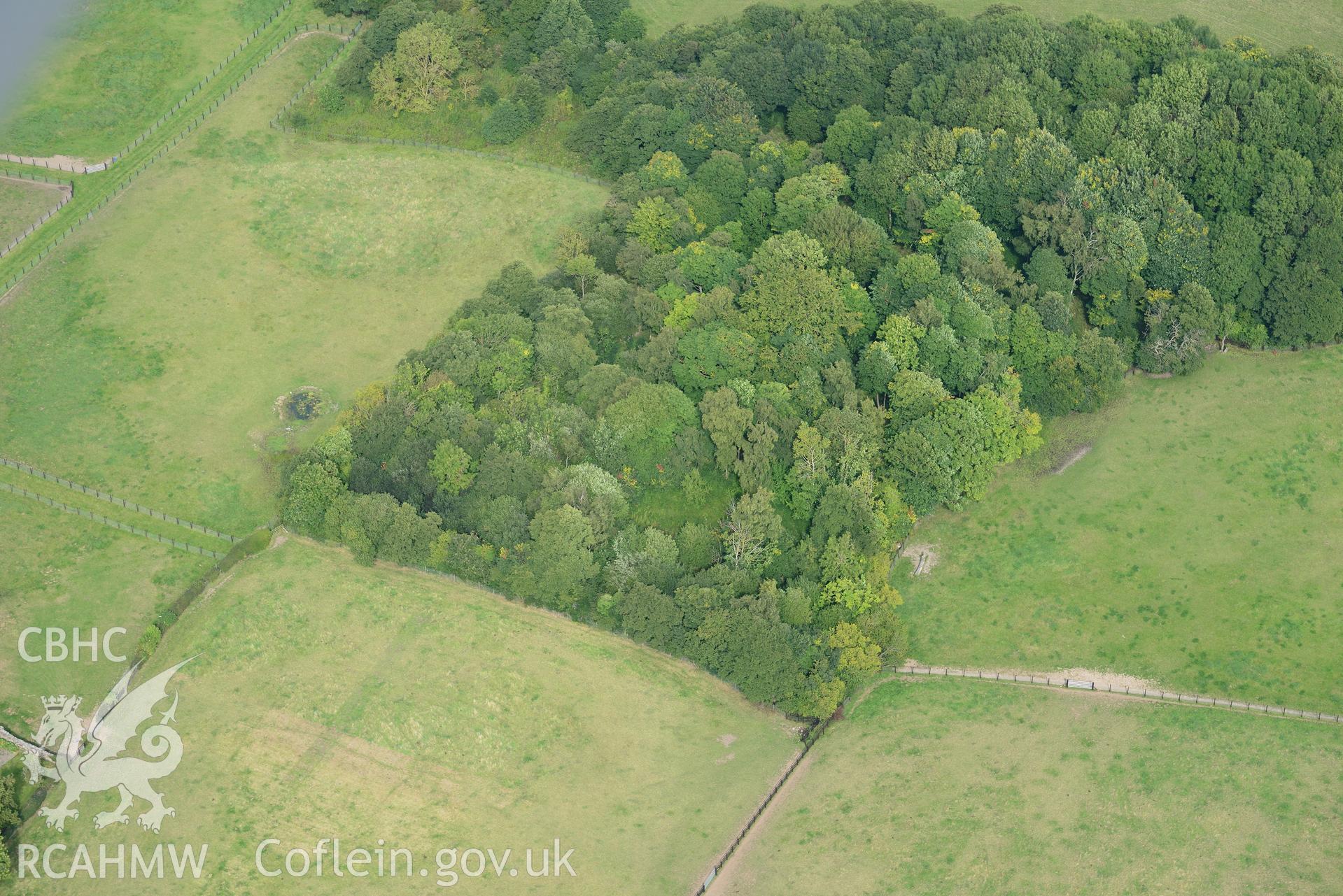 Hafod Wood moated site, Halkyn, near Holywell. Oblique aerial photograph taken during the Royal Commission's programme of archaeological aerial reconnaissance by Toby Driver on 11th September 2015.