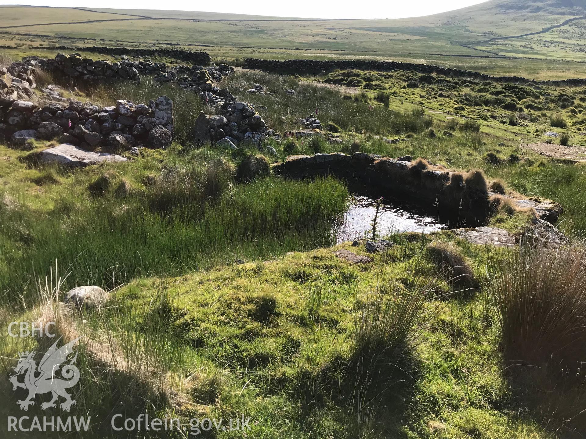 Colour photo showing sheepfolds north of Cwm Cilio, Llanaelhaearn, taken by Paul R. Davis, 24th June 2018.