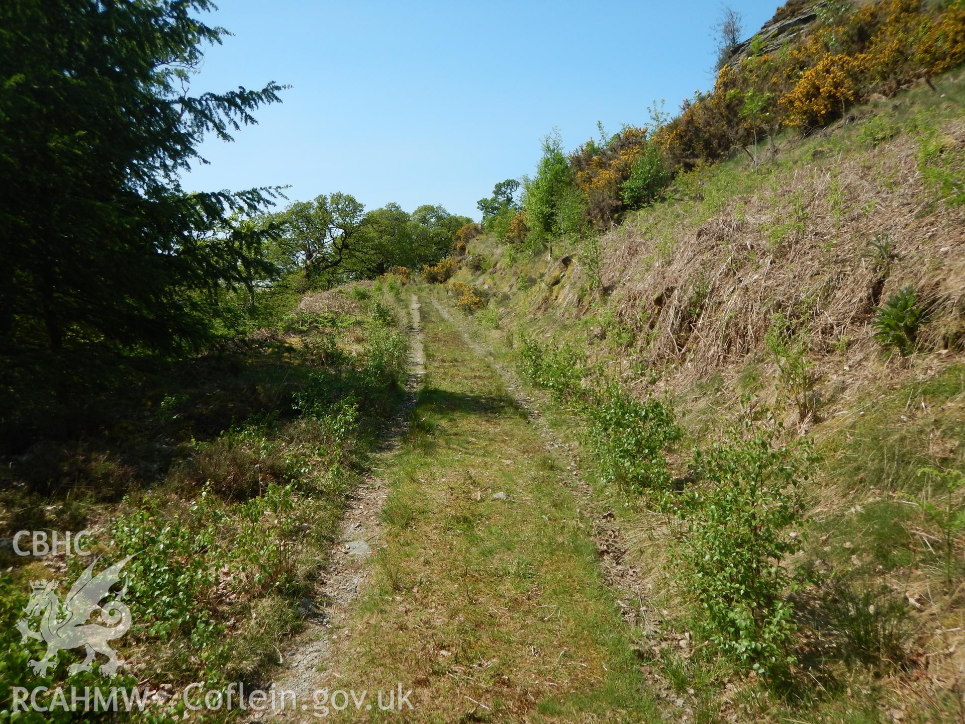 View along forestry track, looking south. Photographed as part of Archaeological Desk Based Assessment of Afon Claerwen, Elan Valley, Rhayader, Powys. Assessment conducted by Archaeology Wales in 2018. Report no. 1681. Project no. 2573.