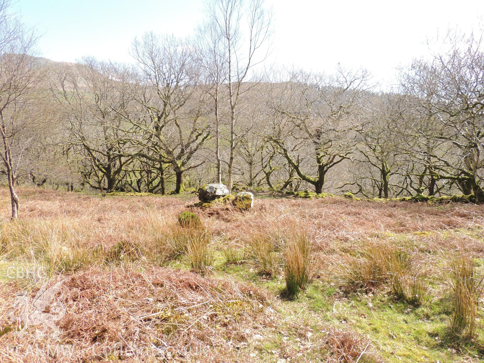 'View towards intake from Gelli Iago hut circle.' Photographed as part of desk based assessment and heritage impact assessment of a hydro scheme on the Afon Croesor, Brondanw Estate, Gwynedd. Produced by Archaeology Wales for Renewables First Ltd. 2018.