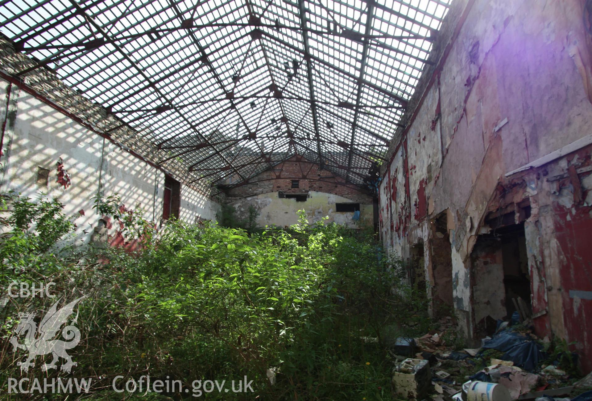 Digital colour photograph showing overgrown interior of the former Scala Cinema on Love Lane, Denbigh. Photographic survey conducted by Sue Fielding on 20th July 2010.