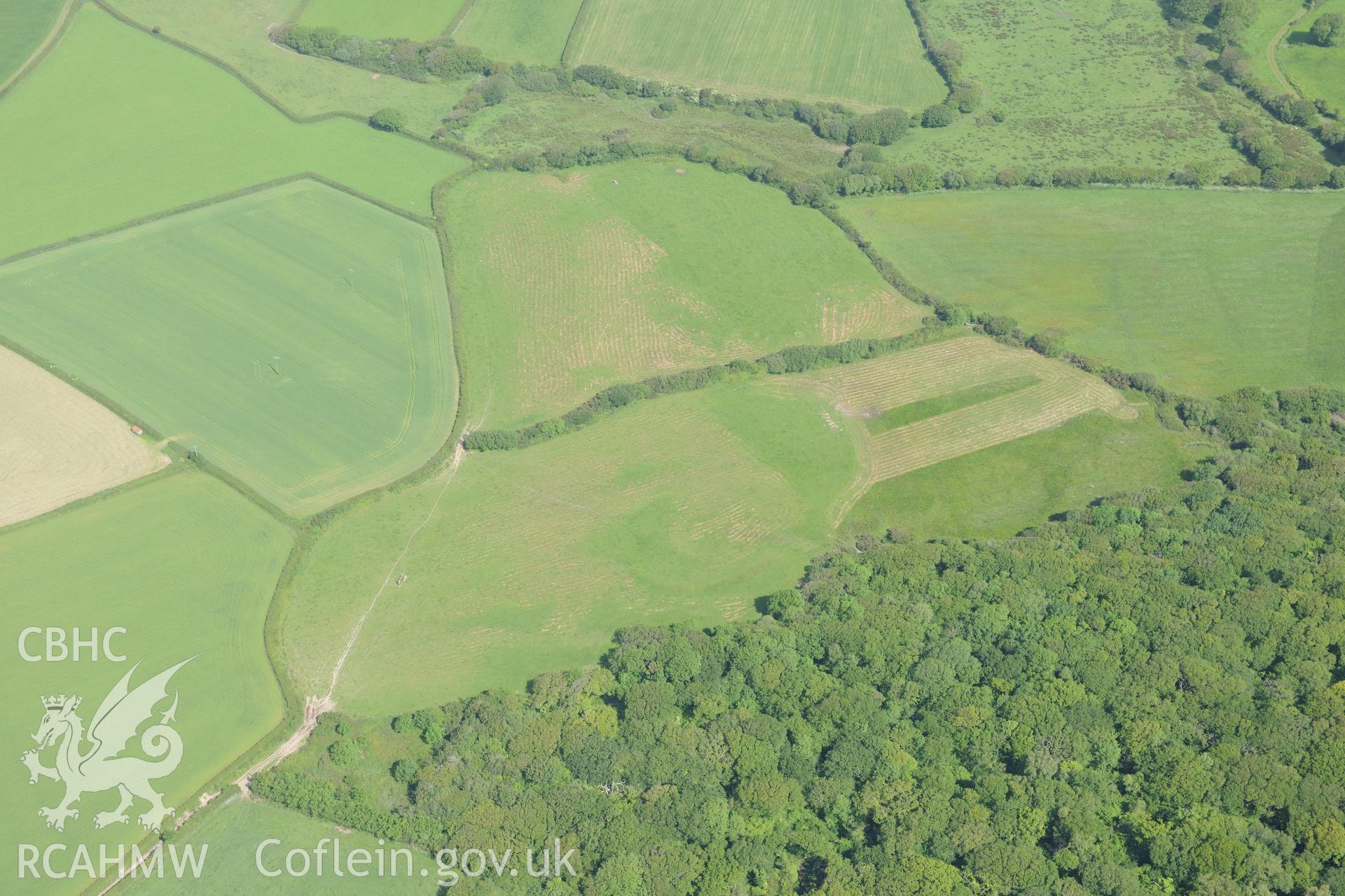 Berry Wood and Berry Wood earthwork. Oblique aerial photograph taken during the Royal Commission's programme of archaeological aerial reconnaissance by Toby Driver on 19th June 2015.