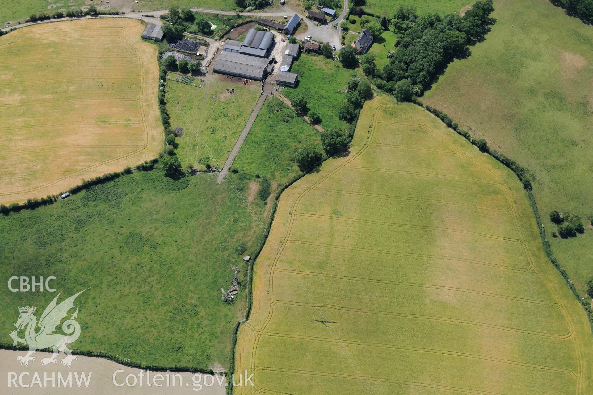 Cropmark enclosure at Pen-y-Lan, between Welshpool and Montgomery. Oblique aerial photograph taken during the Royal Commission's programme of archaeological aerial reconnaissance by Toby Driver on 30th June 2015.