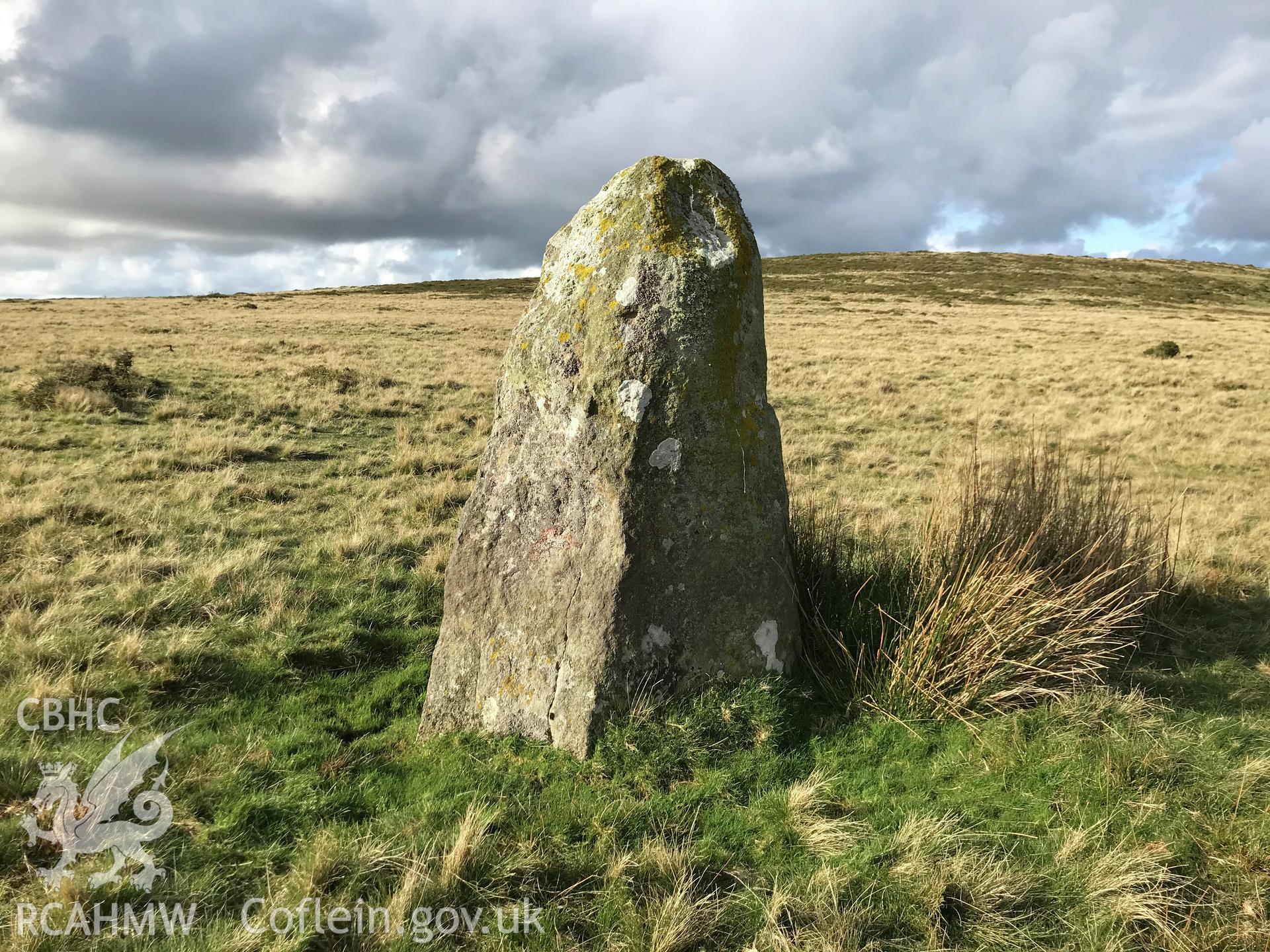 Digital colour photograph showing Waun Mawn standing stone (possible stone circle), Eglwyswrw, taken by Paul Davis on 22nd October 2019.