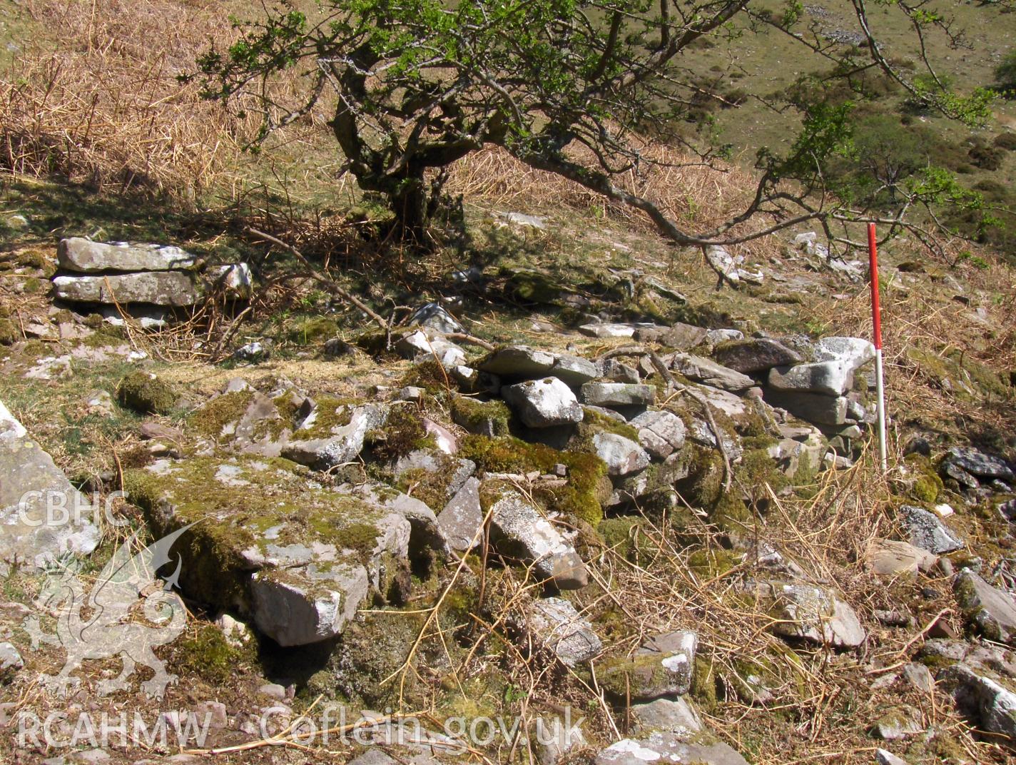 The possible steps