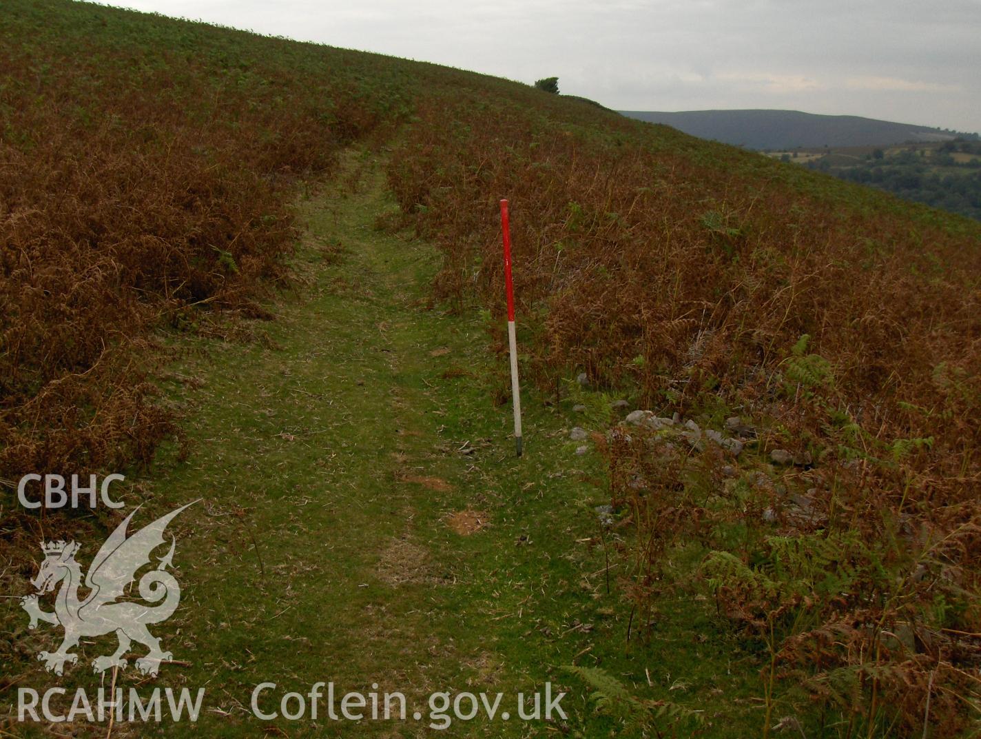 Digital colour photograph of Partrishow Hill boundary bank I taken on 12/09/2007 by N.A.R. Vaughan during the Black Mountain Central South Upland Survey undertaken by Archaeophysica.
