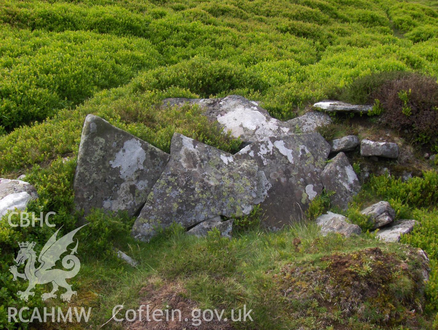 Digital colour photograph of Nant y Gadair wall taken on 17/05/2007 by N.A.R. Vaughan during the Black Mountain Central South Upland Survey undertaken by Archaeophysica.