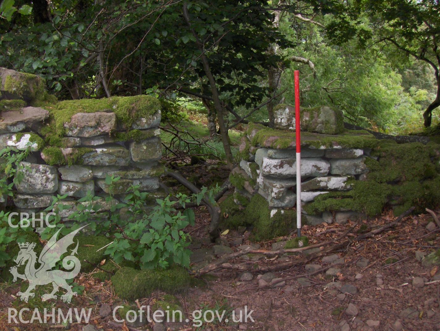 Digital colour photograph of Blaen Nant Mair banked enclosure taken on 31/08/2007 by N.A.R. Vaughan during the Black Mountain Central South Upland Survey undertaken by Archaeophysica.