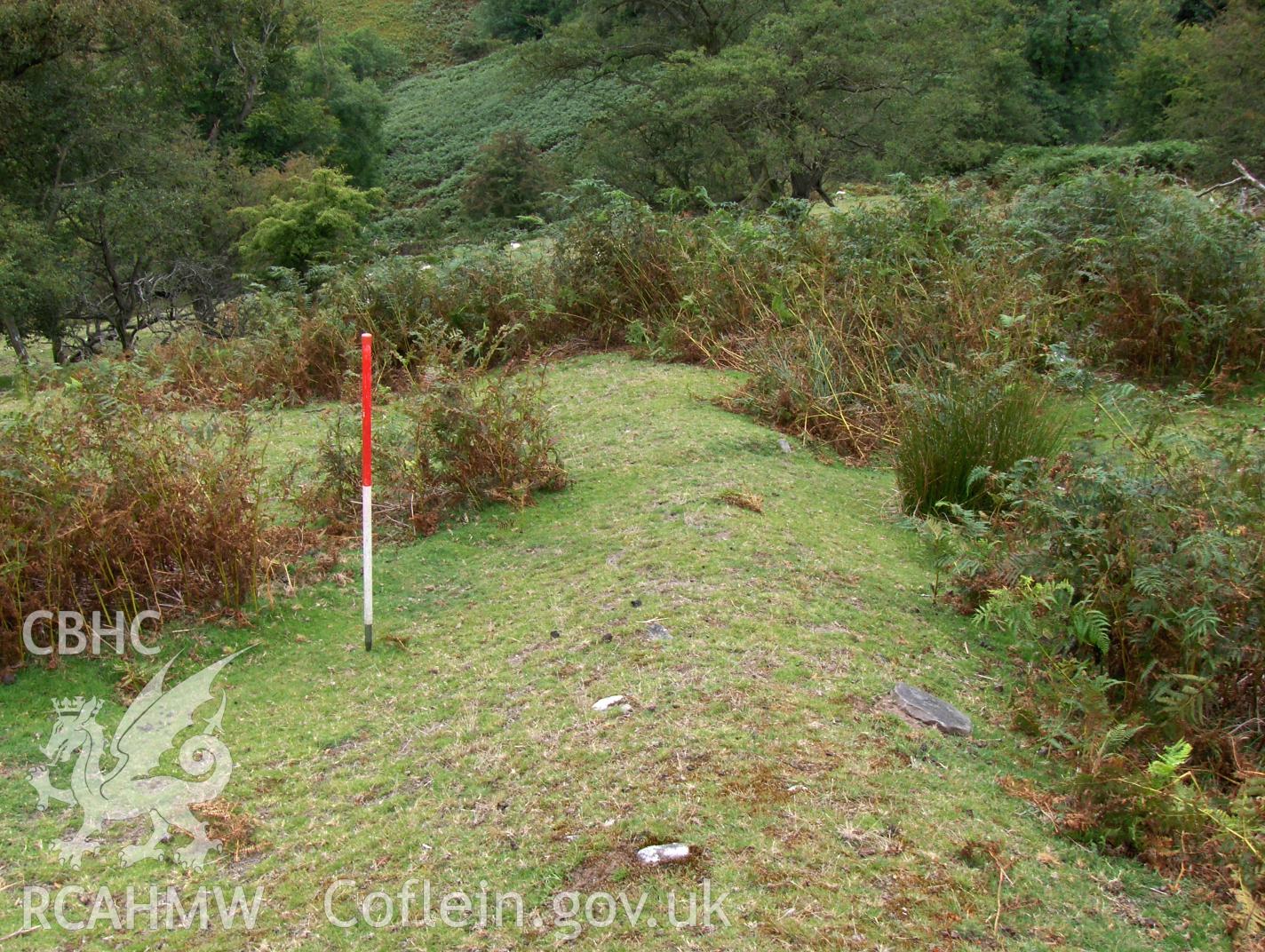 Digital colour photograph of Blaen Nant Mair boundary bank I taken on 31/08/2007 by N.A.R. Vaughan during the Black Mountain Central South Upland Survey undertaken by Archaeophysica.