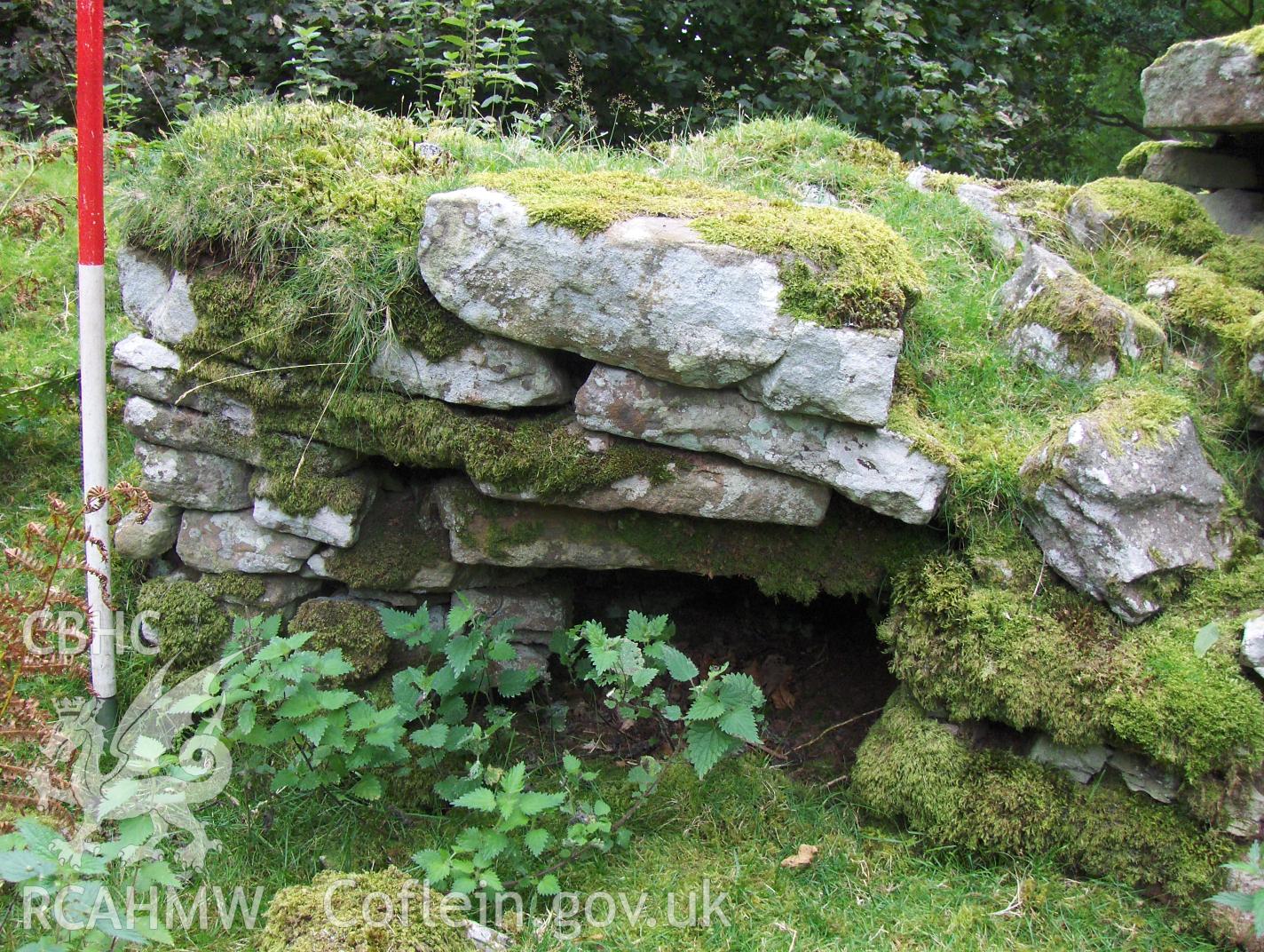 Digital colour photograph of Blaen Nant Mair house II taken on 31/08/2007 by N.A.R. Vaughan during the Black Mountain Central South Upland Survey undertaken by Archaeophysica.