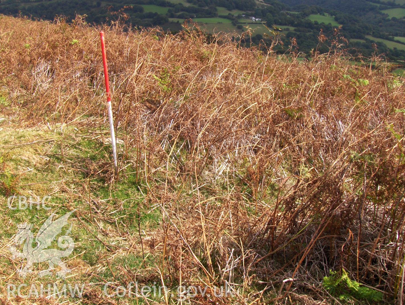 Digital colour photograph of Partrishow Hill bank (earthwork) I taken on 12/09/2007 by N.A.R. Vaughan during the Black Mountain Central South Upland Survey undertaken by Archaeophysica.