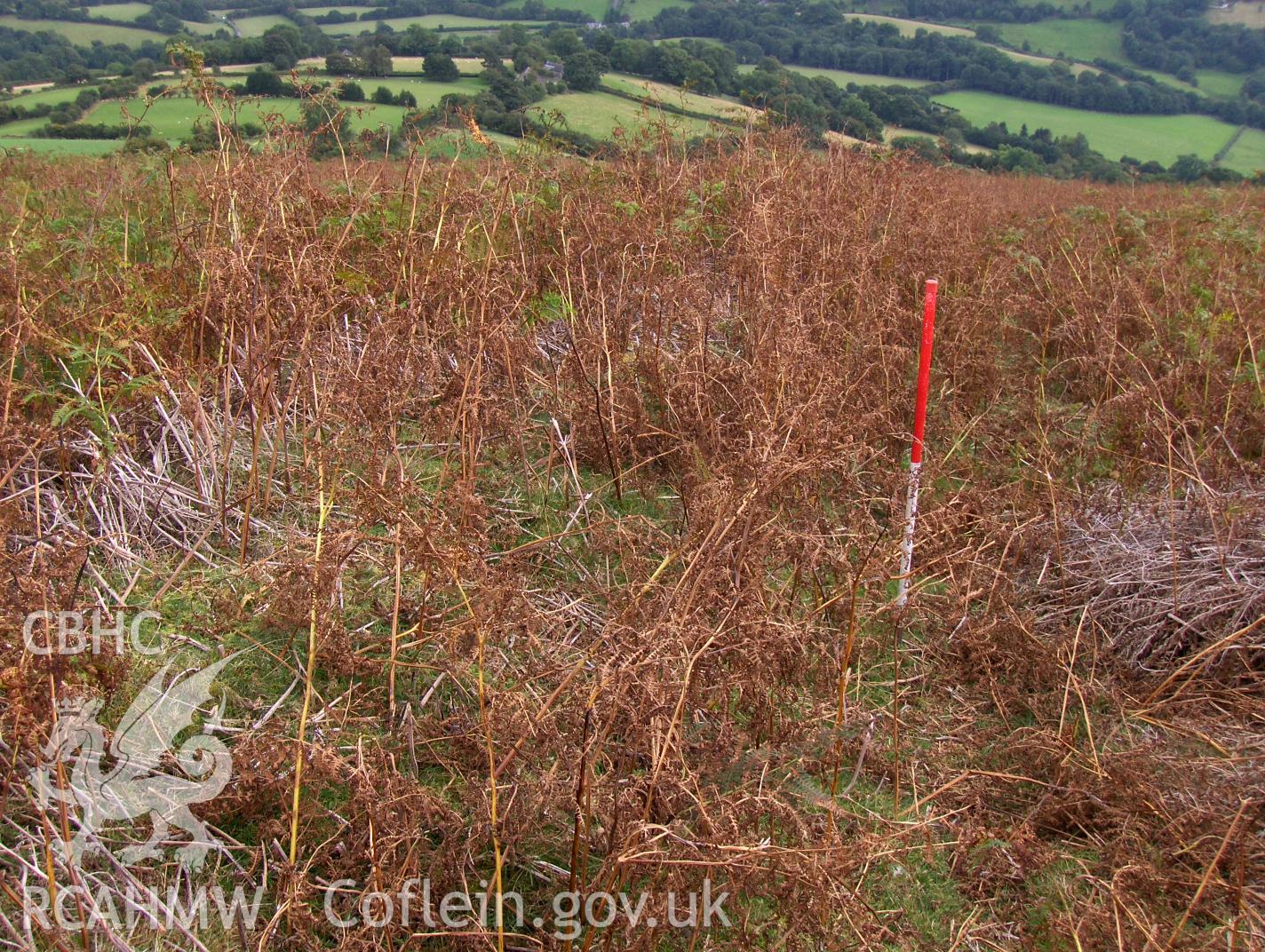 Digital colour photograph of Partrishow Hill bank (earthwork) II taken on 12/09/2007 by N.A.R. Vaughan during the Black Mountain Central South Upland Survey undertaken by Archaeophysica.
