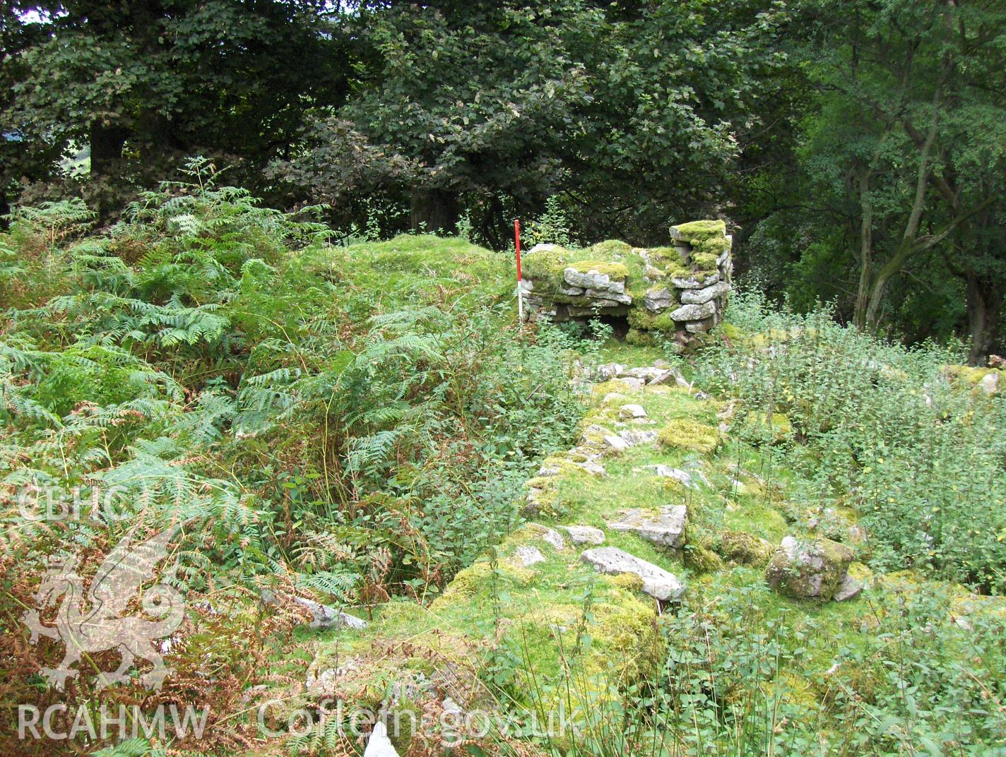 Digital colour photograph of Blaen Nant Mair house II taken on 31/08/2007 by N.A.R. Vaughan during the Black Mountain Central South Upland Survey undertaken by Archaeophysica.