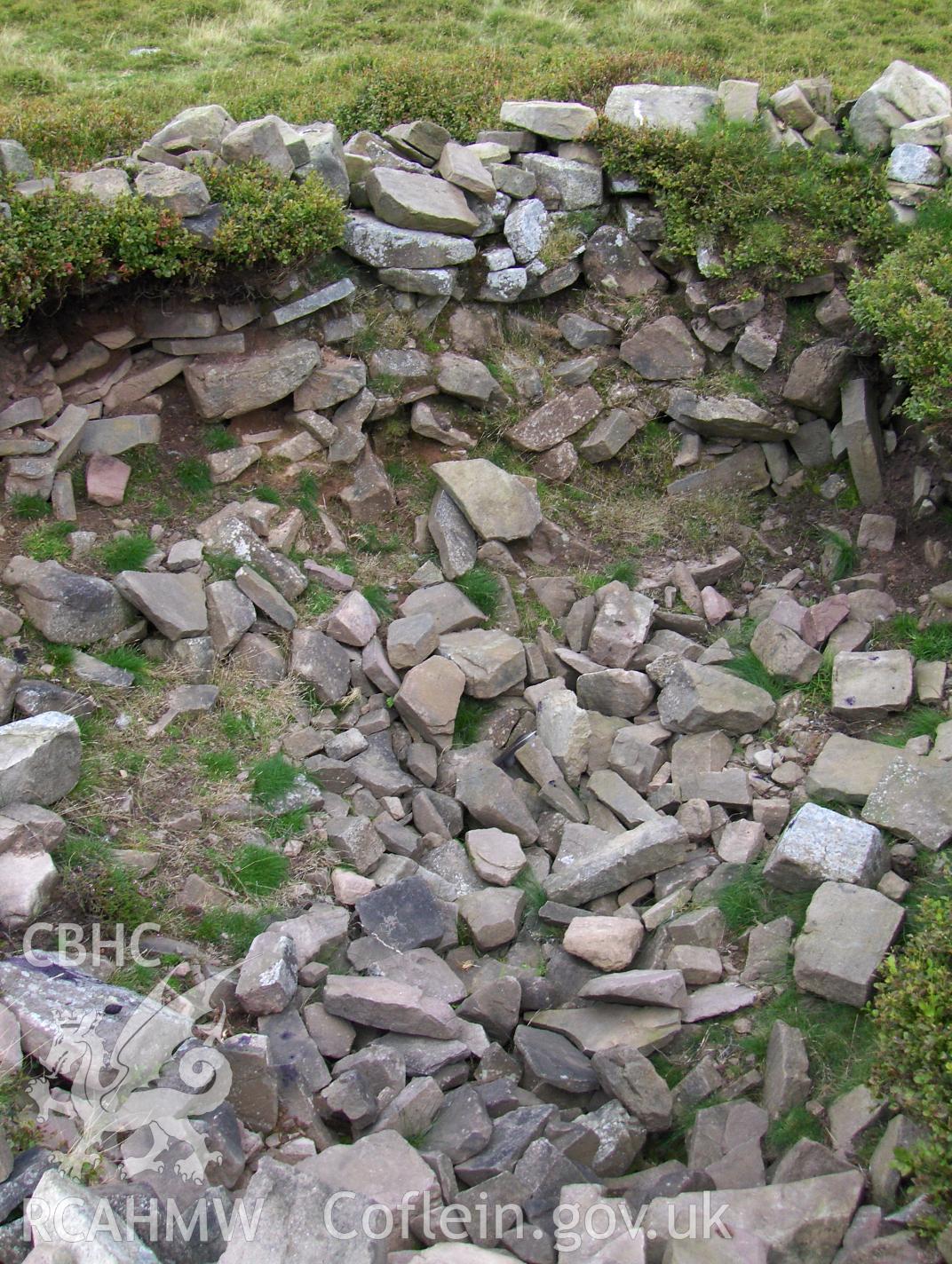 Digital colour photograph of Pentwynglas cairn taken on 21/08/2007 by N.A.R. Vaughan during the Black Mountain Central South Upland Survey undertaken by Archaeophysica.