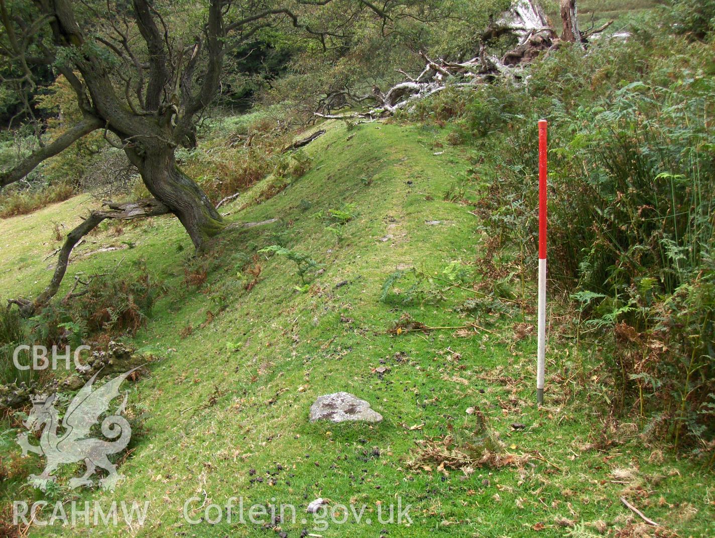 Digital colour photograph of Blaen Nant Mair boundary bank II taken on 31/08/2007 by N.A.R. Vaughan during the Black Mountain Central South Upland Survey undertaken by Archaeophysica.
