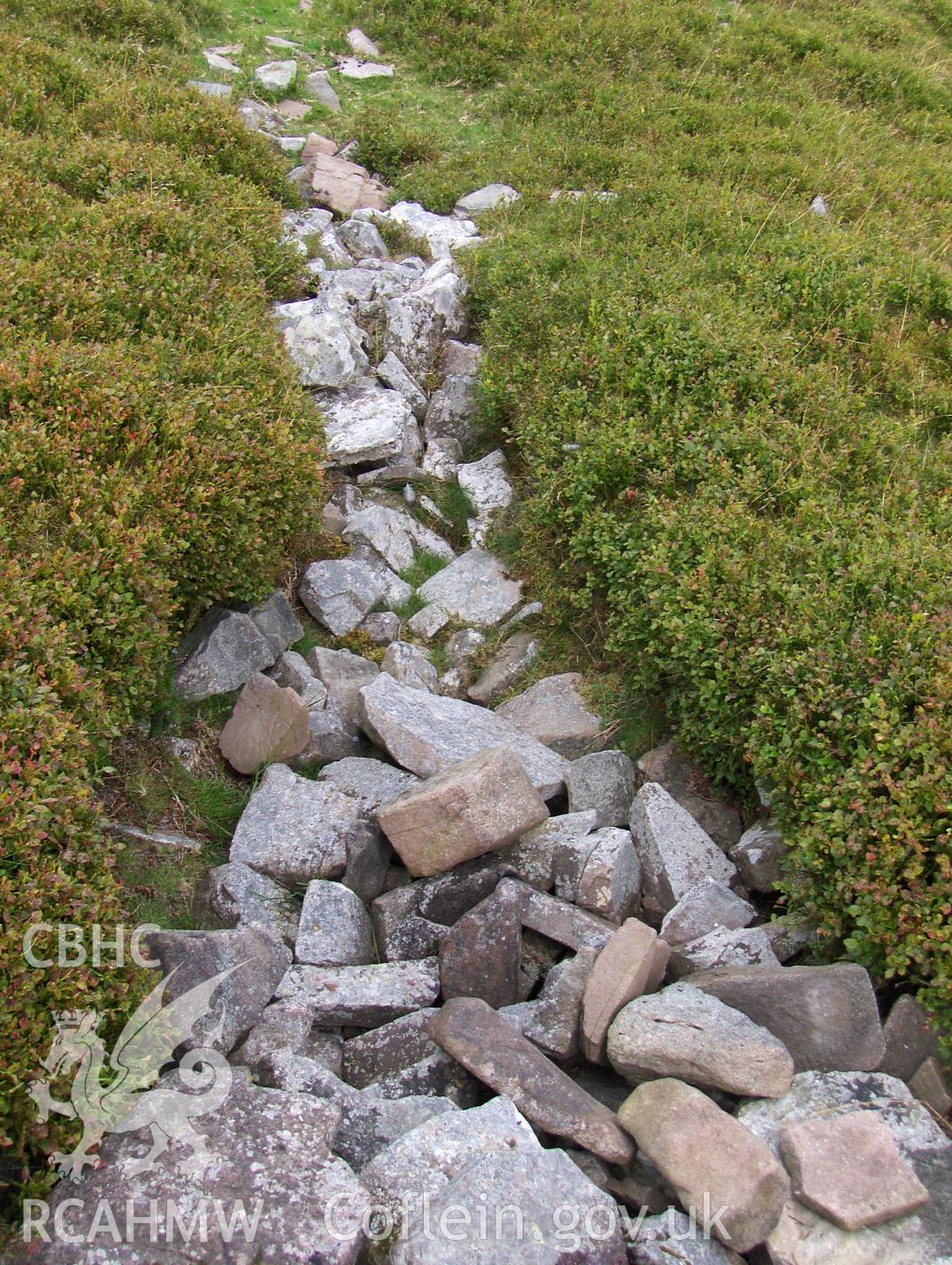 Digital colour photograph of Pentwynglas cairn taken on 21/08/2007 by N.A.R. Vaughan during the Black Mountain Central South Upland Survey undertaken by Archaeophysica.