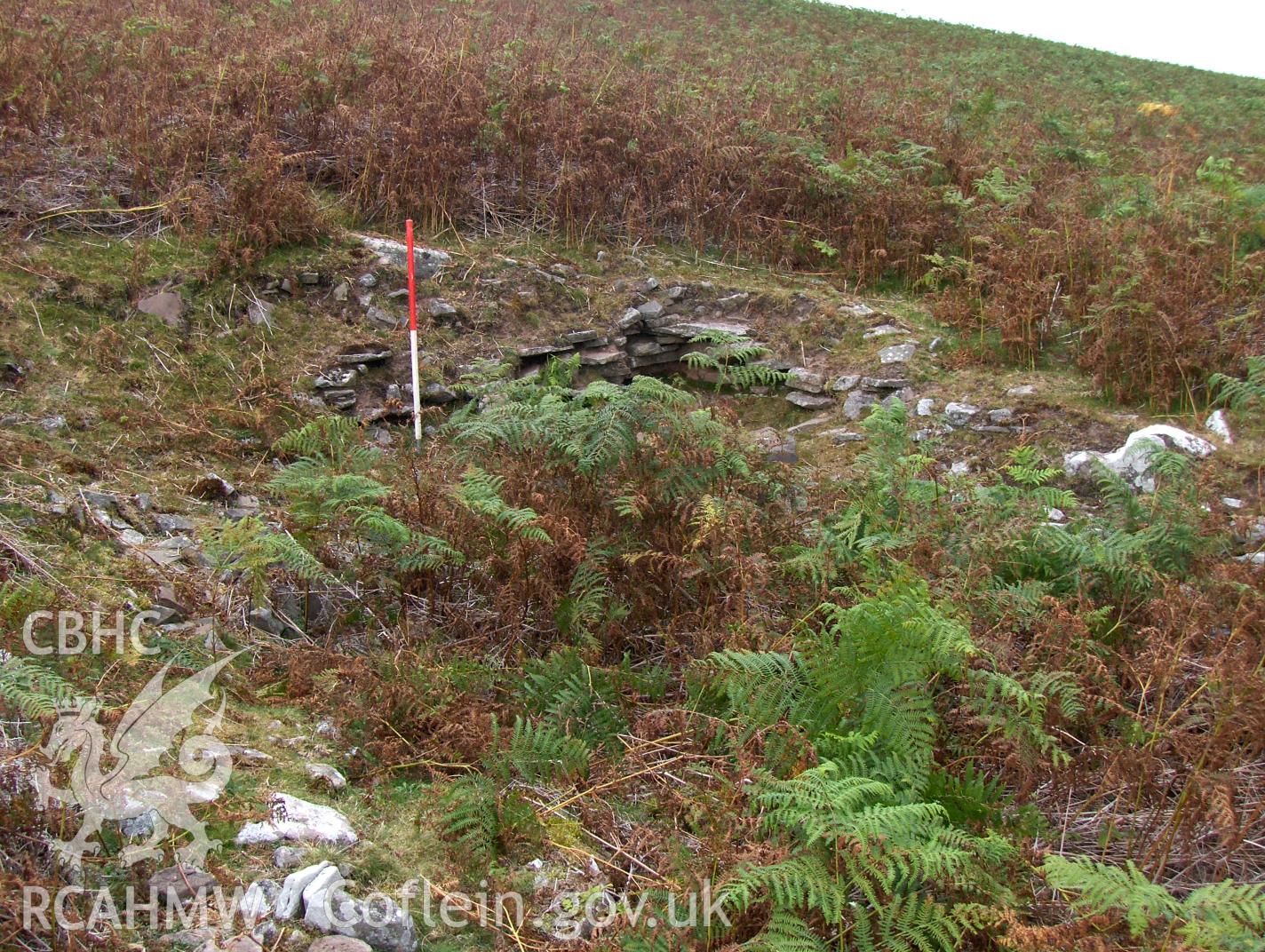 Digital colour photograph of Partrishow Hill house taken on 12/09/2007 by N.A.R. Vaughan during the Black Mountain Central South Upland Survey undertaken by Archaeophysica.