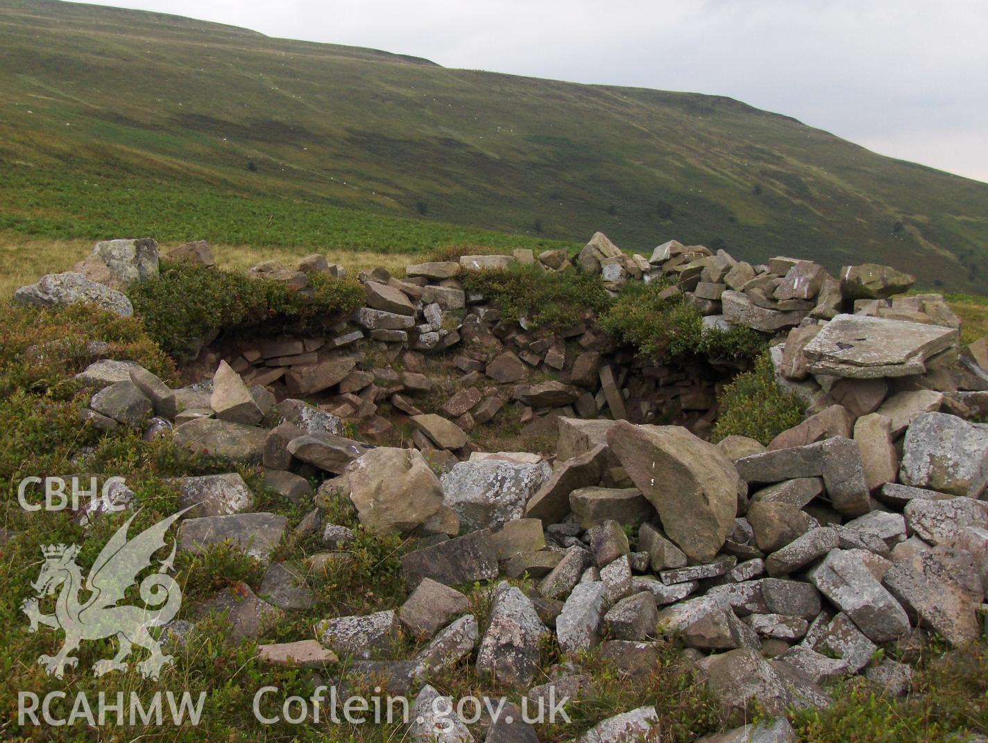 Digital colour photograph of Pentwynglas cairn taken on 21/08/2007 by N.A.R. Vaughan during the Black Mountain Central South Upland Survey undertaken by Archaeophysica.