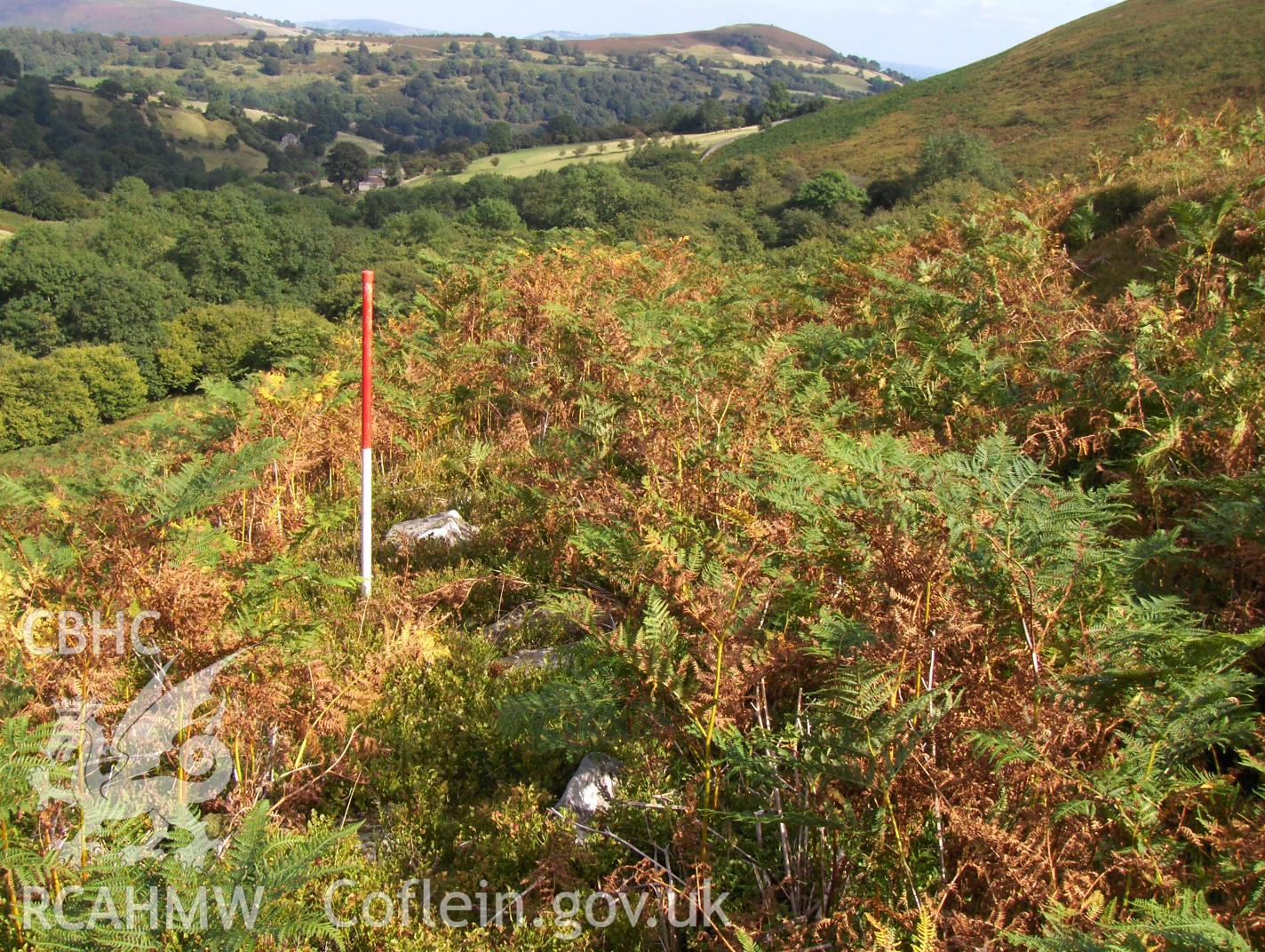 Digital colour photograph of Blaen Nant Mair boundary wall I taken on 11/09/2007 by N.A.R. Vaughan during the Black Mountain Central South Upland Survey undertaken by Archaeophysica.