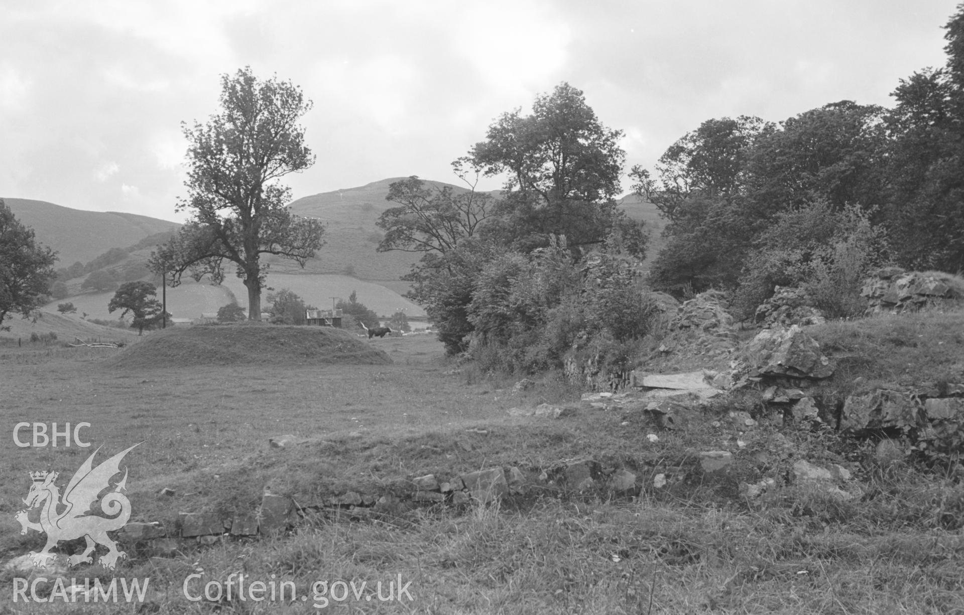Digital copy of a black and white negative showing Abbey Cwmhir ruins. Photographed in August 1963 by Arthur O. Chater.