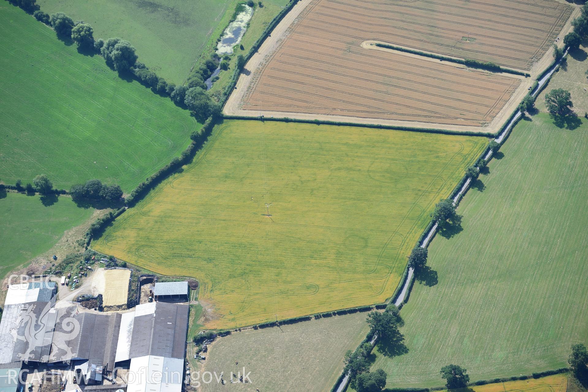 Royal Commission aerial photography of cropmarks of Plas yn Rhal barrow cemetery taken on 19th July 2018 during the 2018 drought.