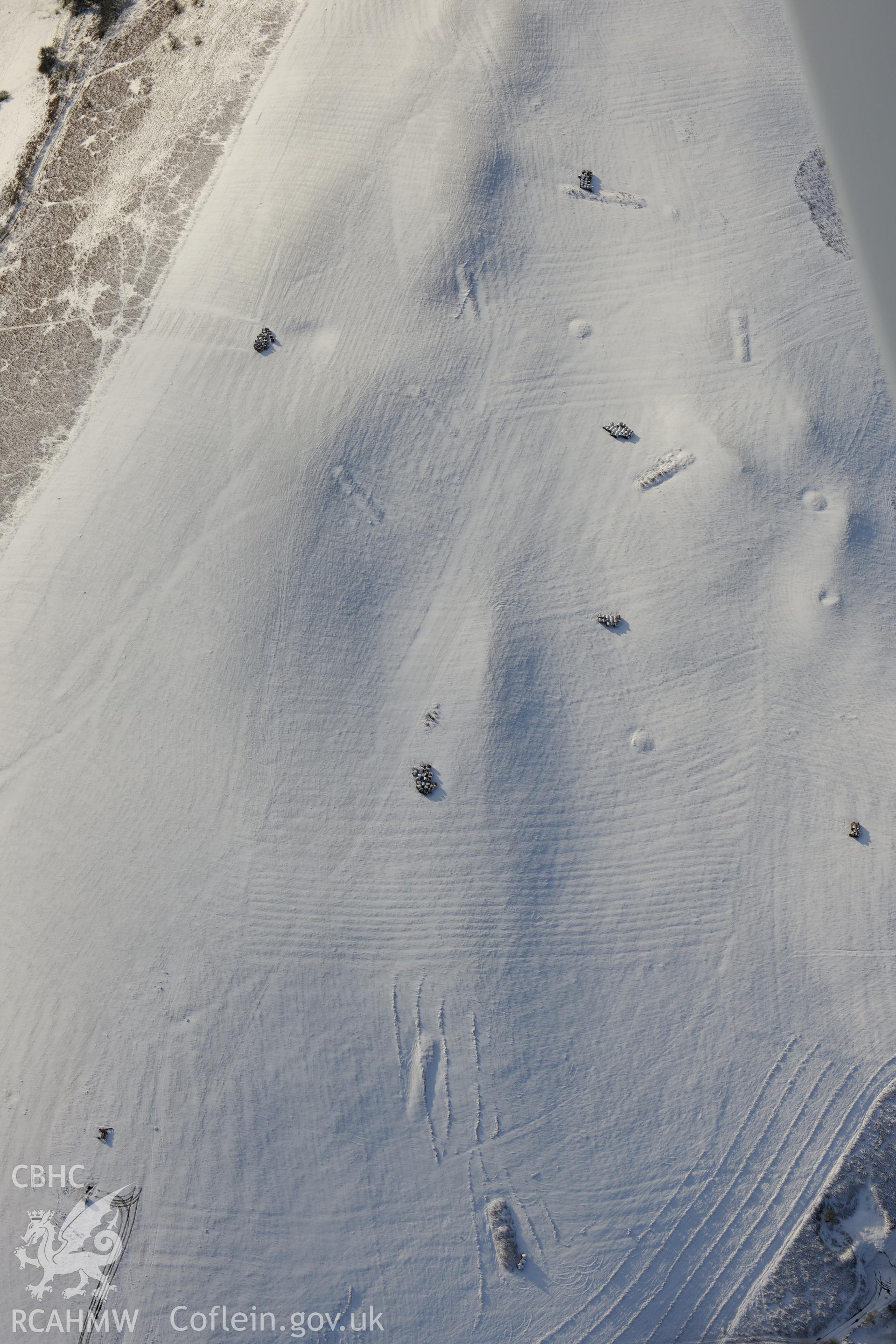 Coed Swydd pillow mounds, north east of Llandrindod Wells. Oblique aerial photograph taken during the Royal Commission?s programme of archaeological aerial reconnaissance by Toby Driver on 15th January 2013.