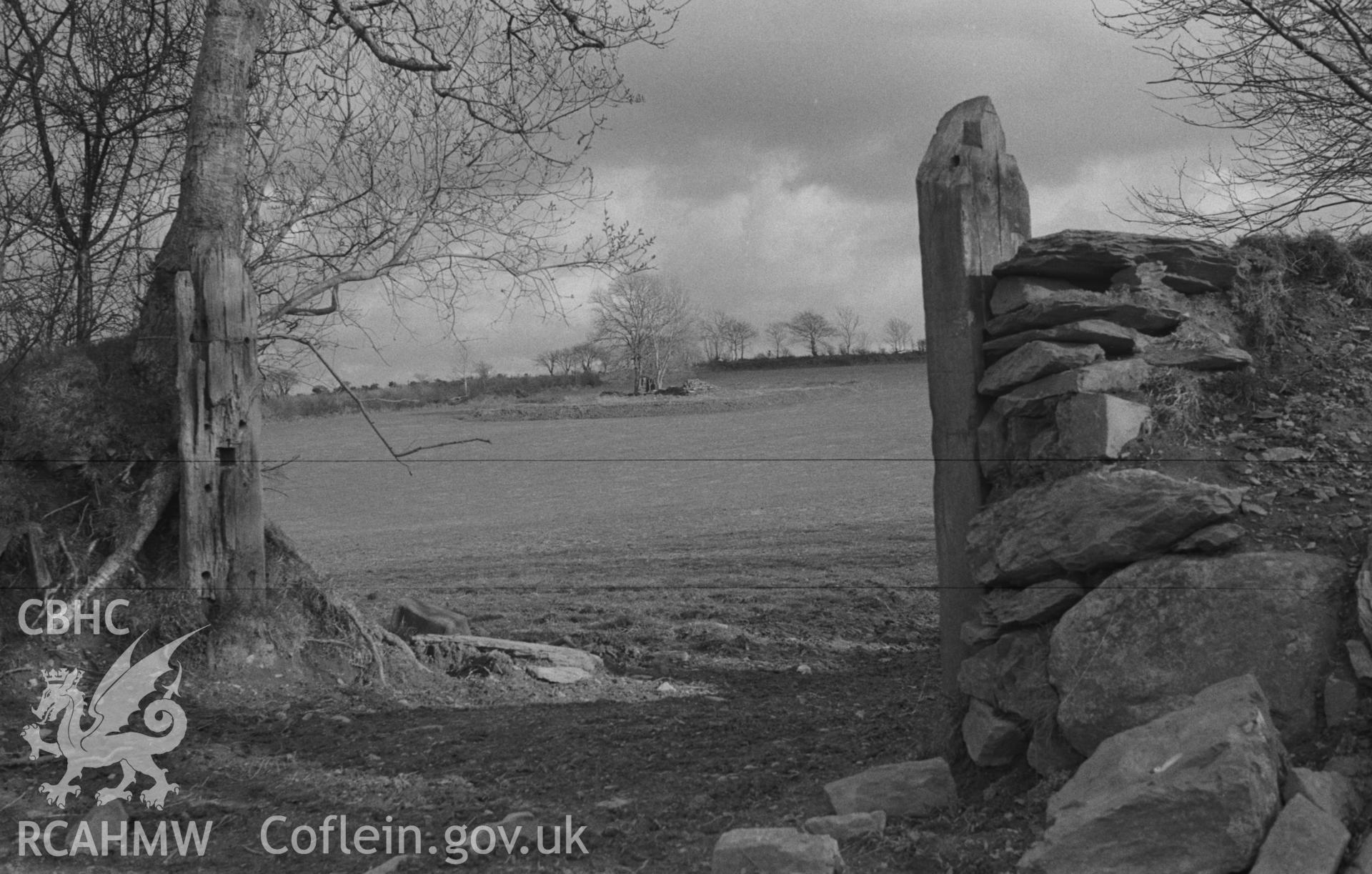 Digital copy of a black and white negative showing site of St Mary's church, Llanfair Trefhelygen. Photographed in April 1963 by Arthur O. Chater from Grid Reference SN 3423 4424, looking south east.