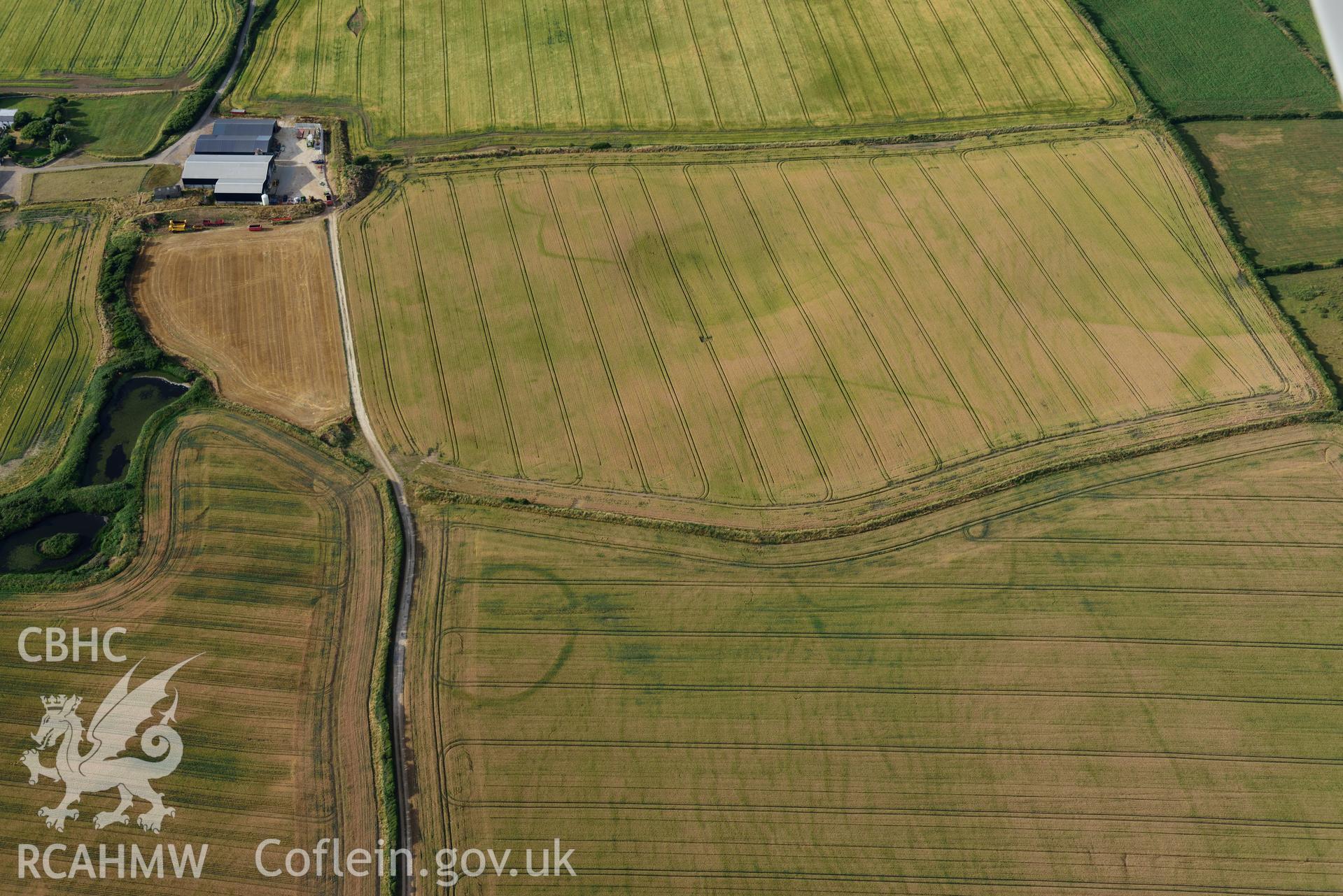 Royal Commission aerial photography of Paviland Manor cropmark complex, south-west circular enclosure, taken on 17th July 2018 during the 2018 drought.