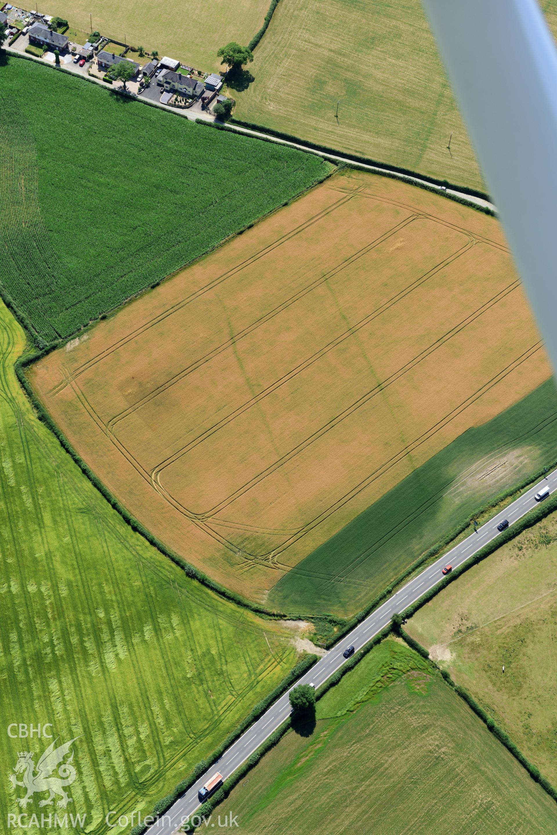 Royal Commission aerial photography of cropmarks of Lower Luggy Cursus taken on 19th July 2018 during the 2018 drought.