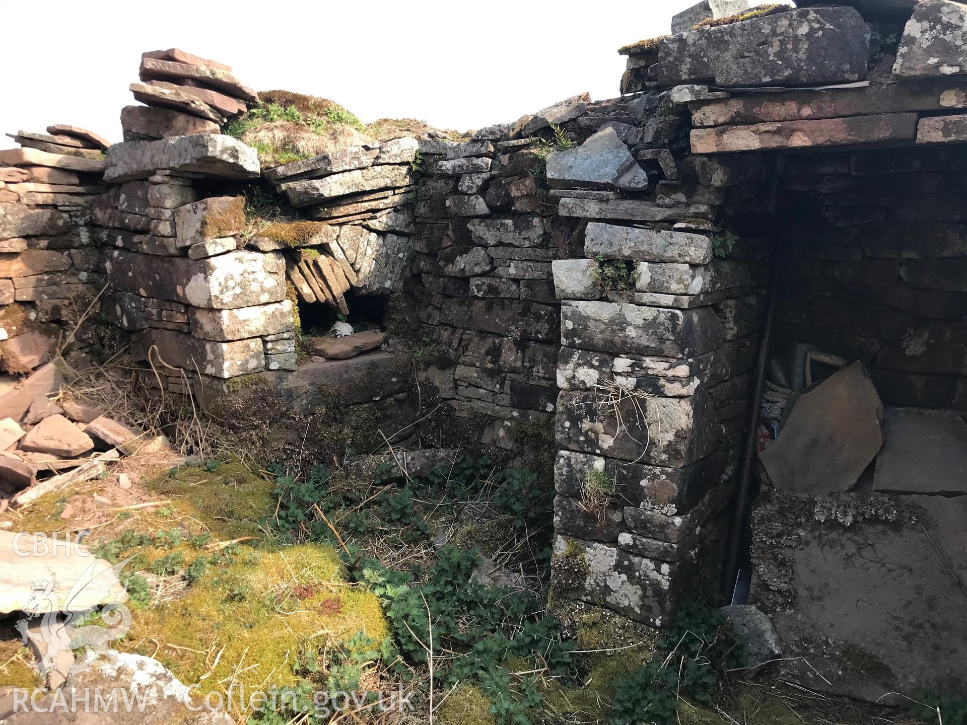 Digital colour photograph showing detailed view of Darren Lwyd deserted farmstead, Llanigon, east of Talgarth, taken by Paul R. Davis on 22nd April 2019.