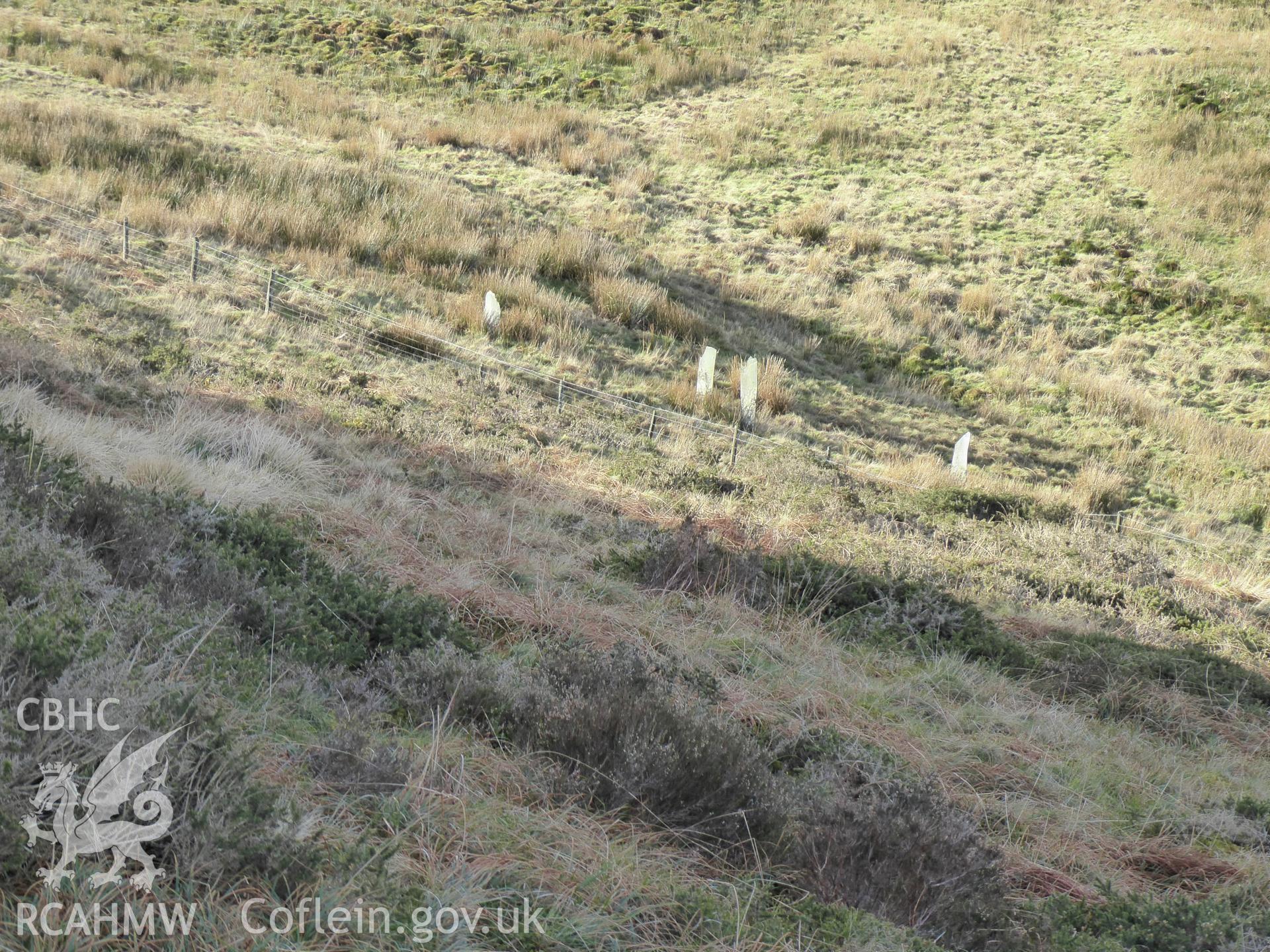 Remains of slate fence, photographed on 11th February 2019 as part of archaeological assessment of Antur Stiniog Downhill Cycle Tracks Extension, conducted by I. P. Brooks of Engineering Archaeological Services Ltd.