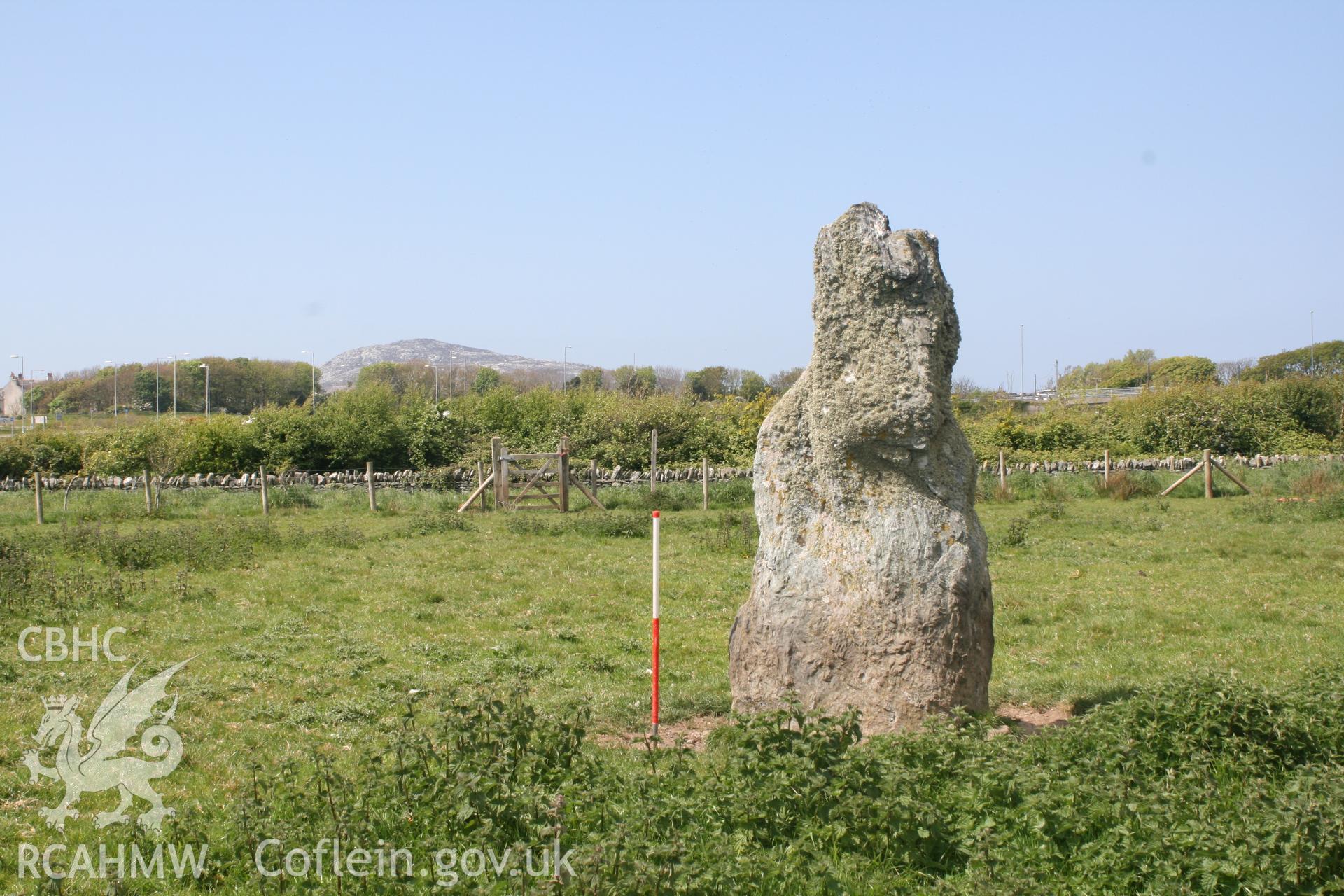 View of Ty-Mawr Standing Stone, from the northwest. Looking across the Parc Cybi Enterprise Zone. Digital photograph taken as part of archaeological work at Parc Cybi Enterprise Zone, Holyhead, carried out by Archaeology Wales, 2017. Project no: P2522.