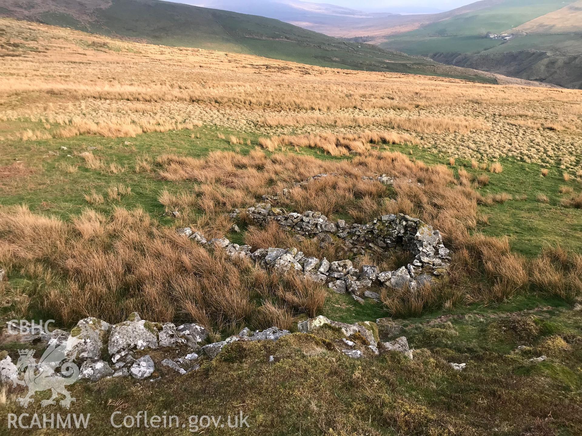 Colour photograph of Lluest Llain Wen deserted rural settlement, east of Tre'r-ddol, taken by Paul R. Davis on 28th March 2019.