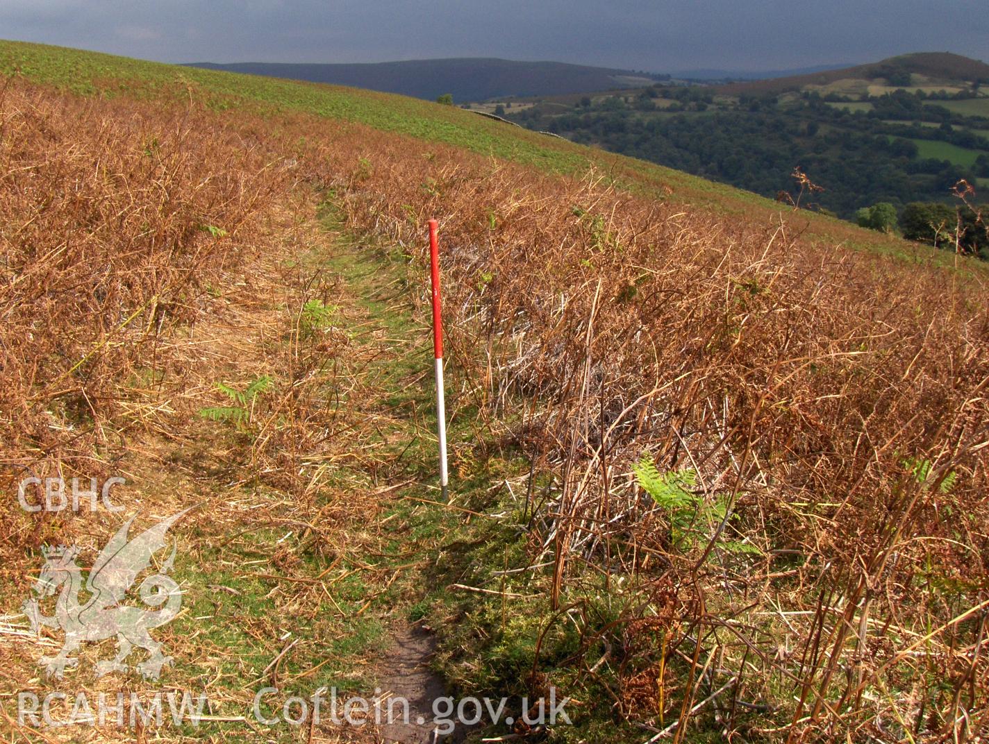 Digital colour photograph of Partrishow Hill bank (earthwork) I taken on 12/09/2007 by N.A.R. Vaughan during the Black Mountain Central South Upland Survey undertaken by Archaeophysica.